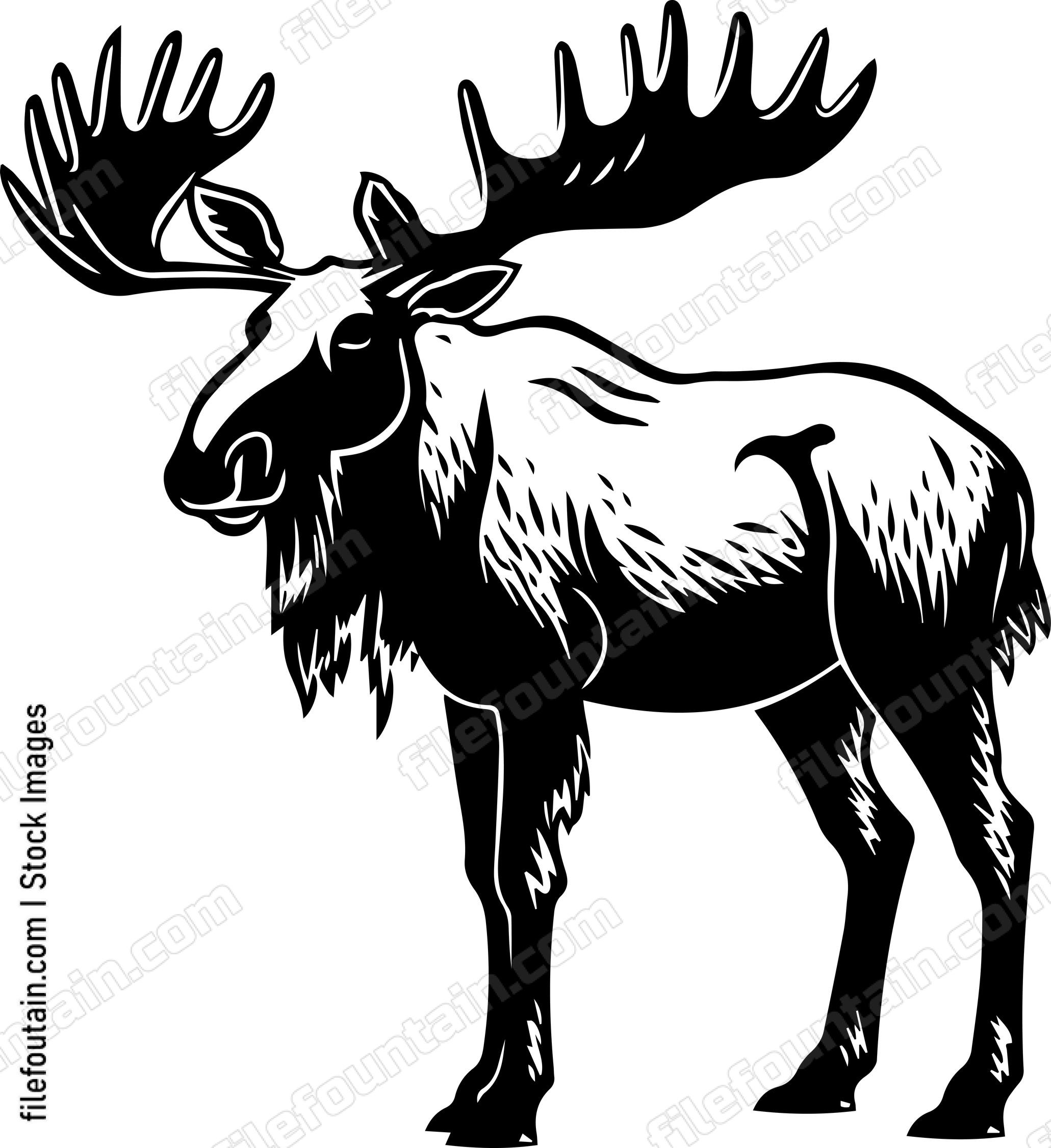 Moose