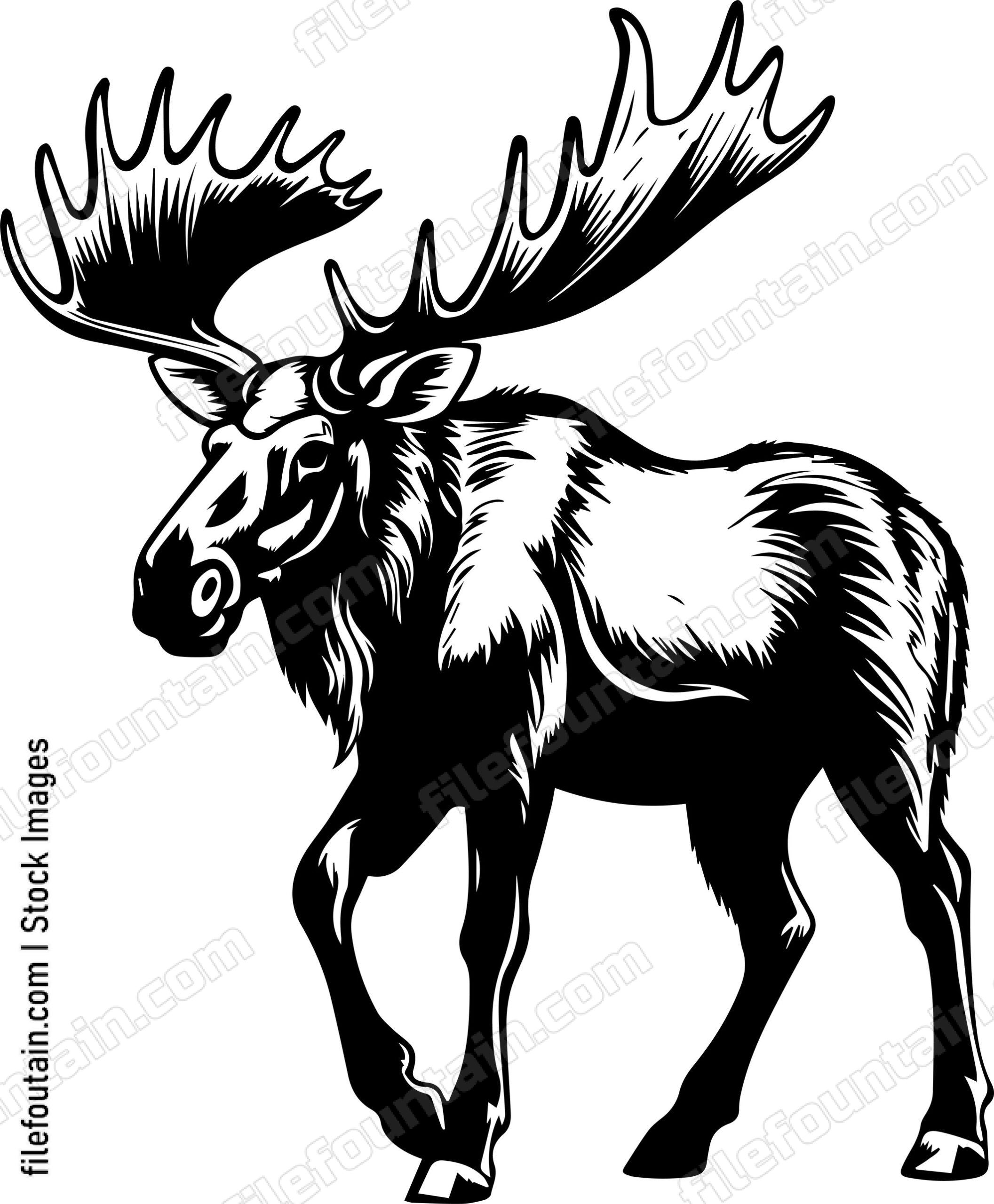 Moose