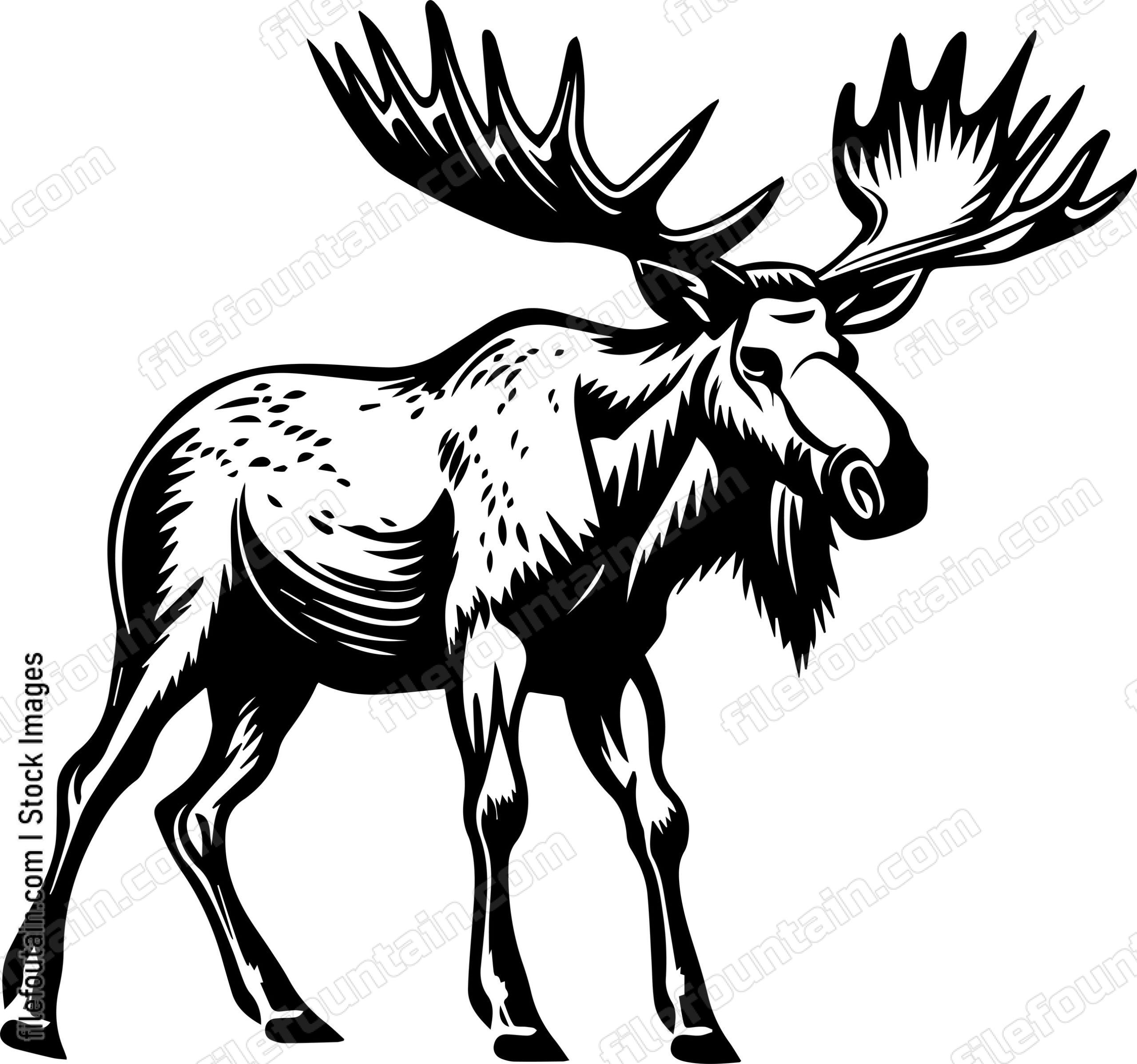Moose