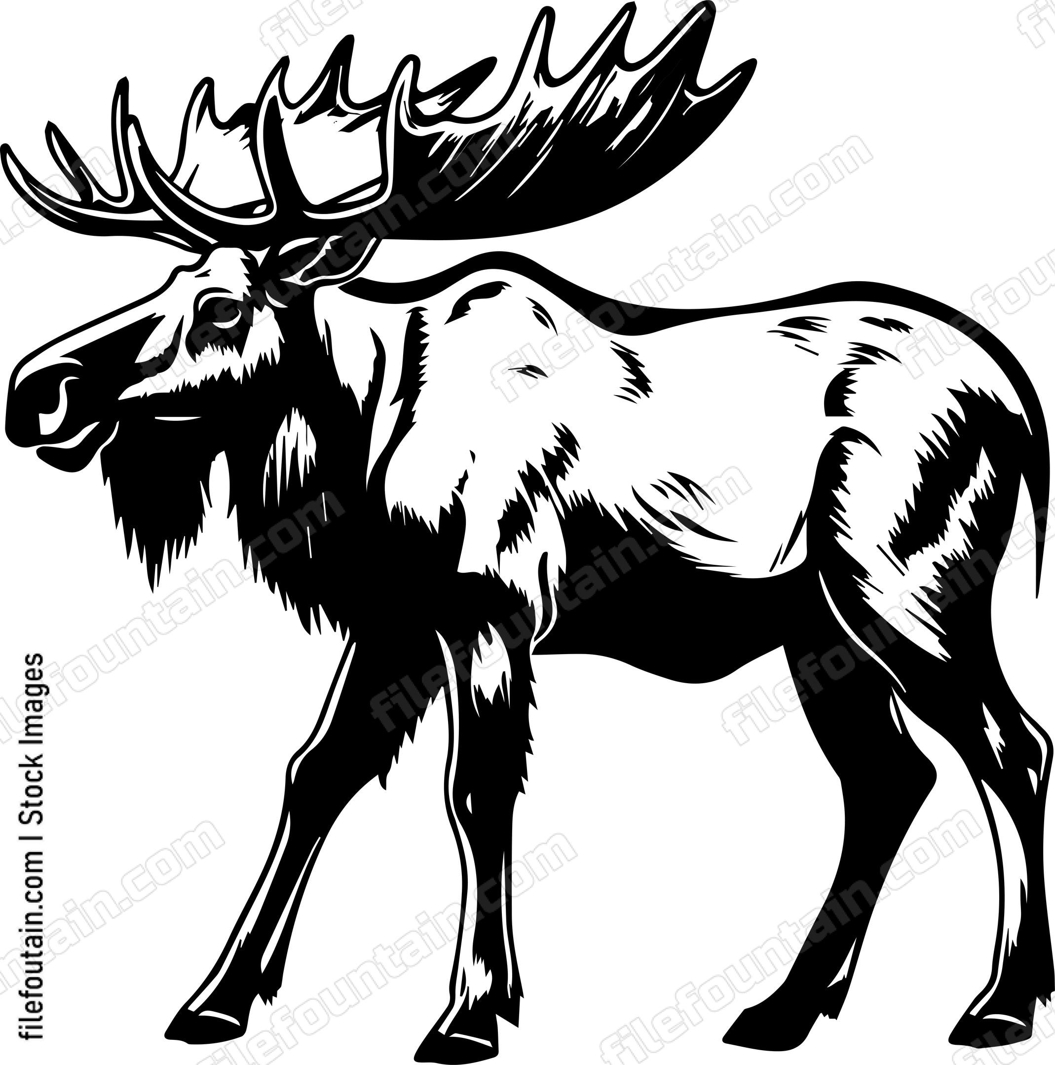 Moose