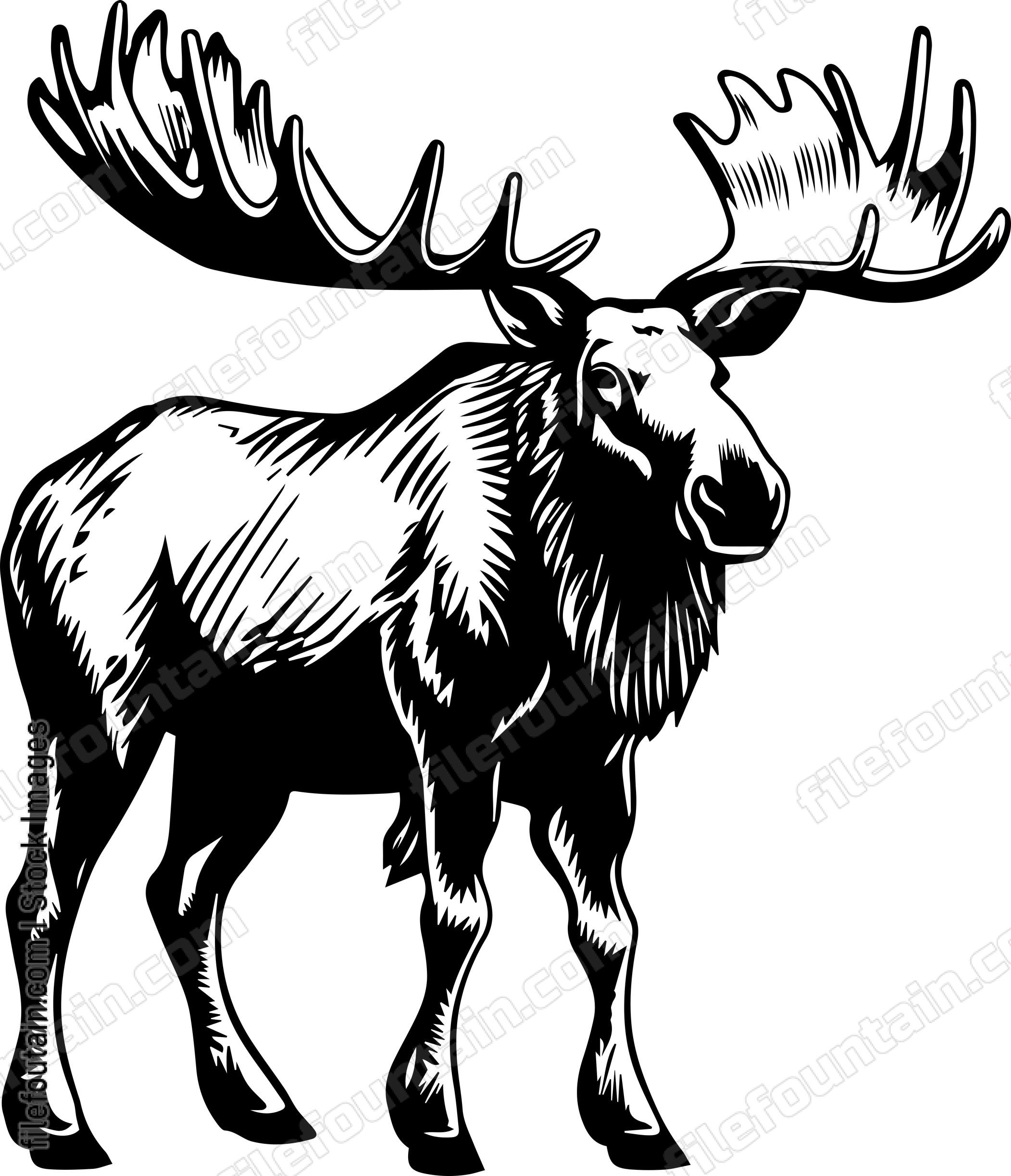 Moose
