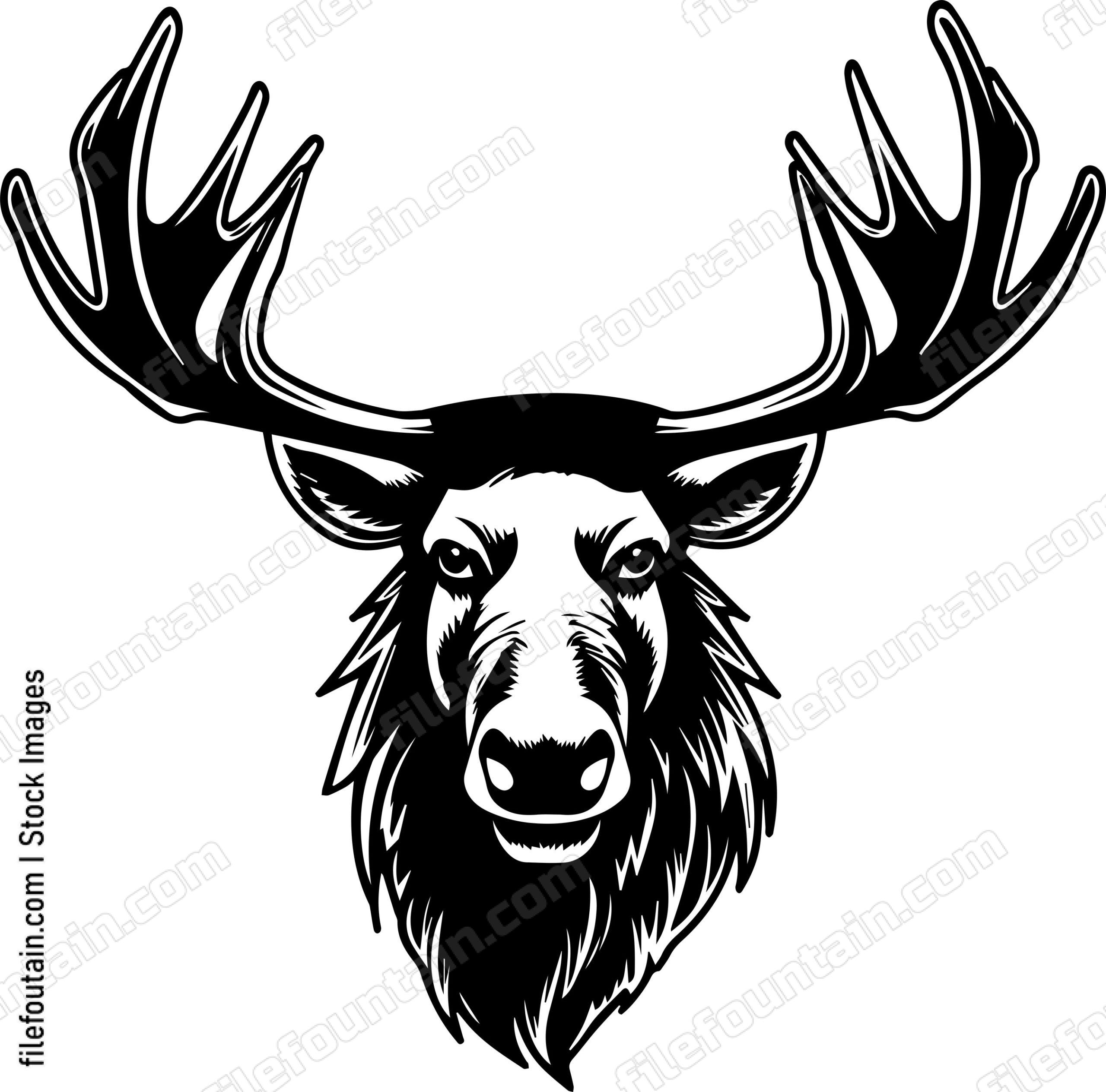 Moose
