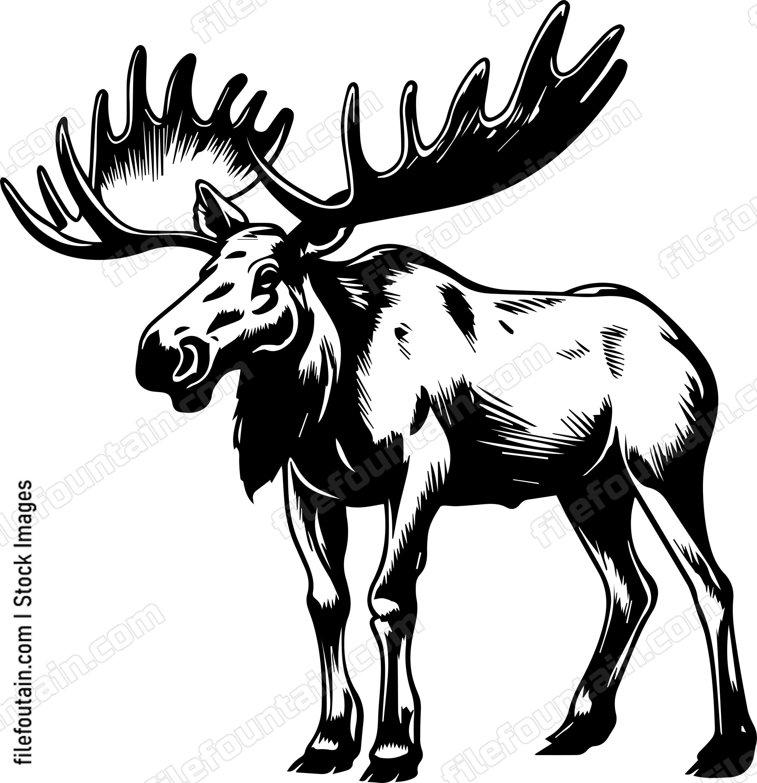 Moose