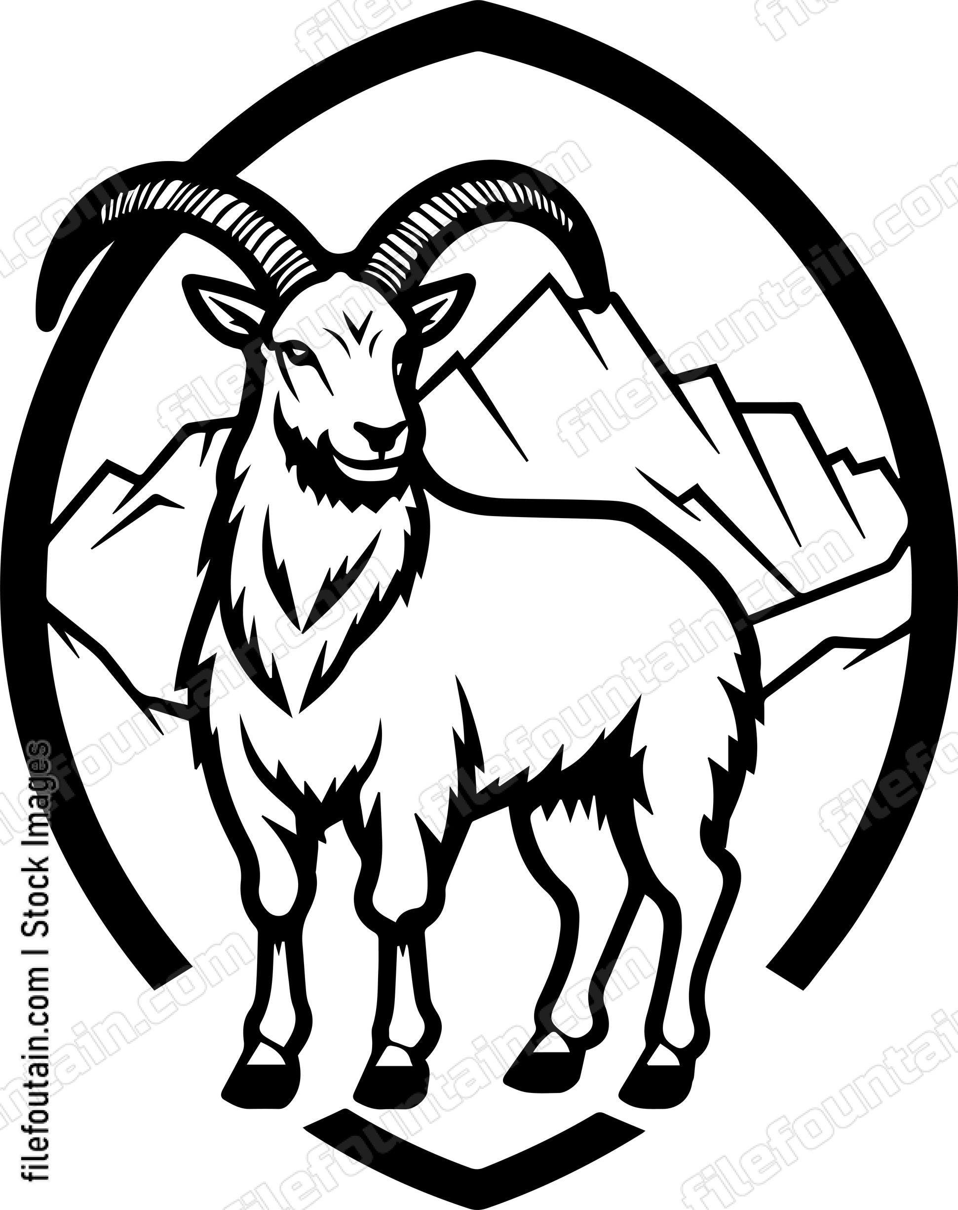 Mountain Goat