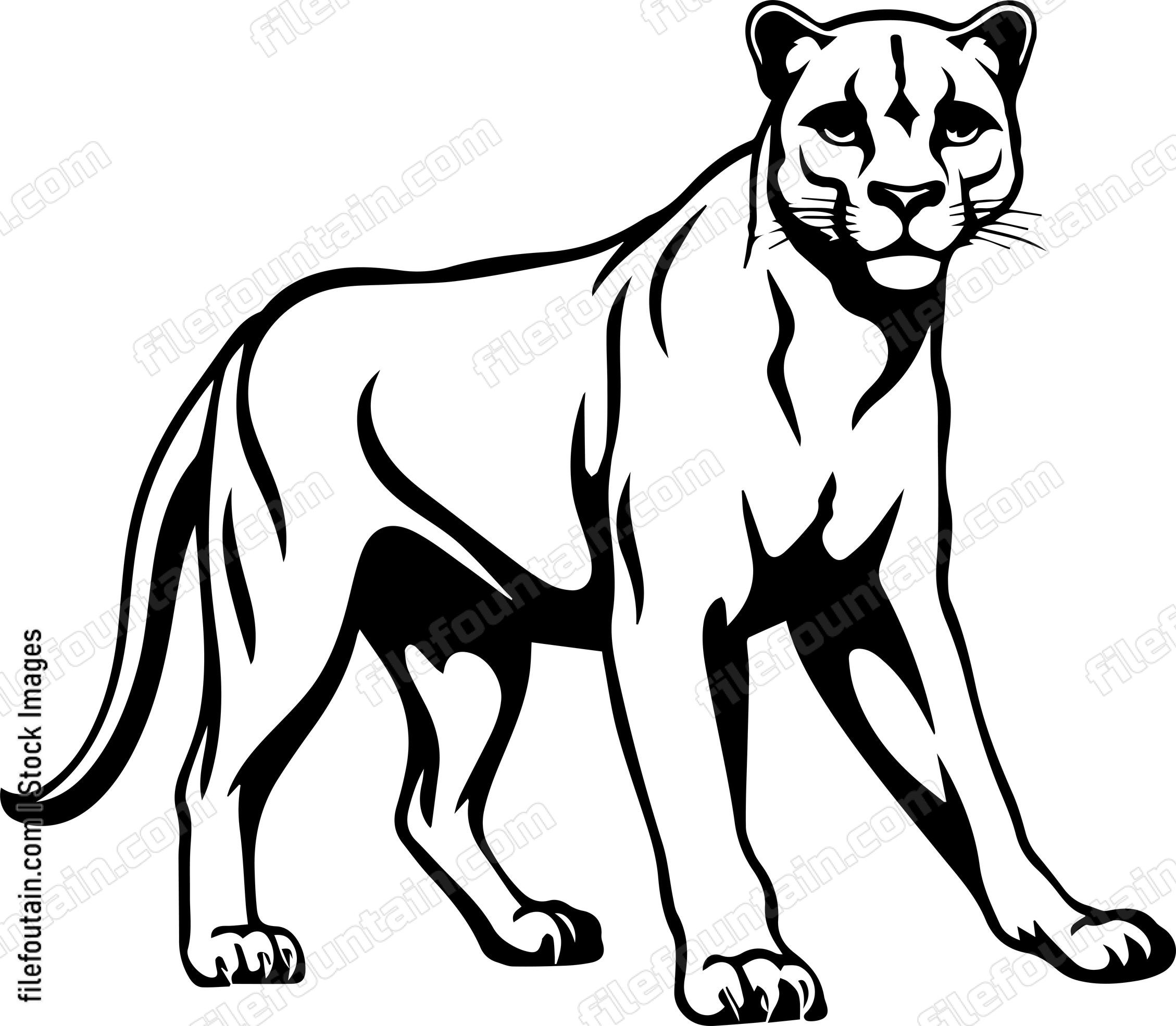 Mountain Lion