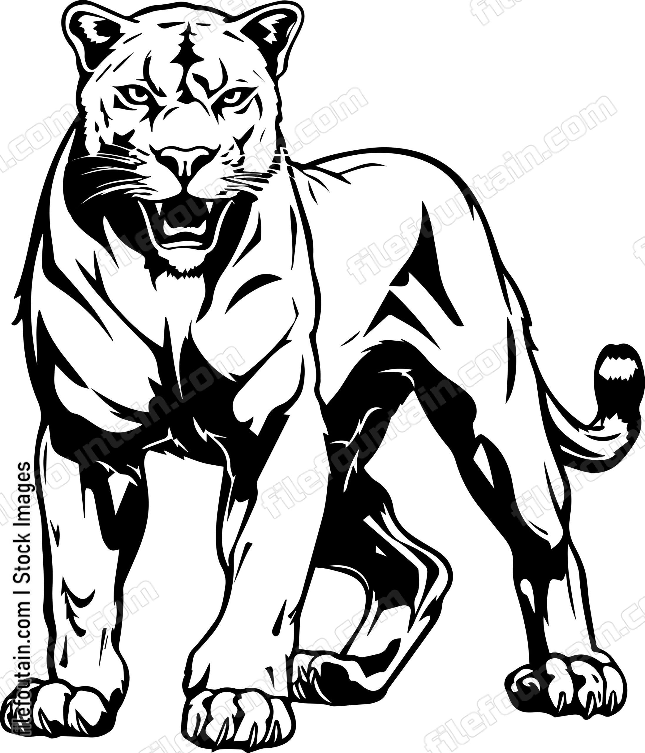 Mountain Lion