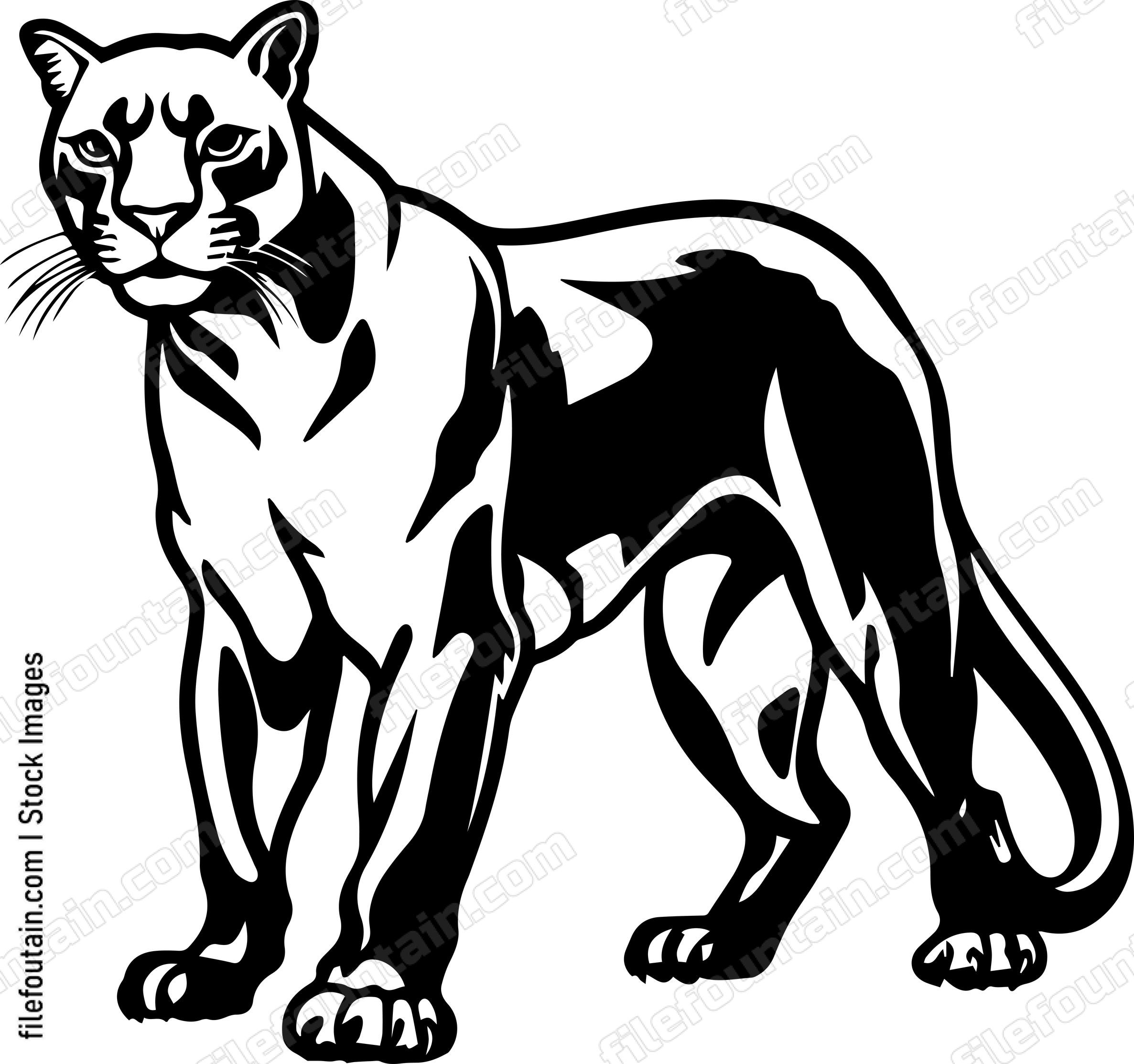 Mountain Lion