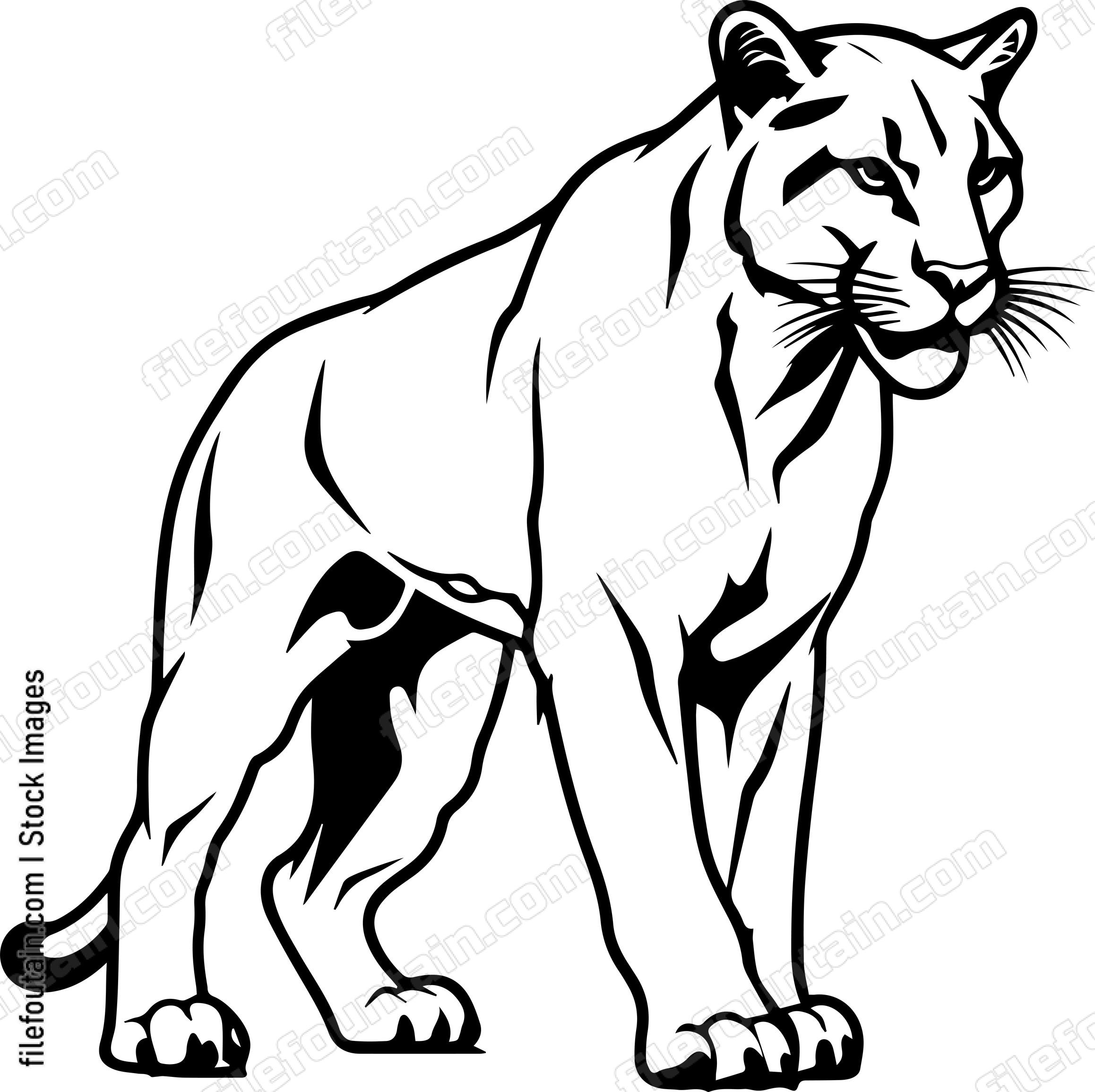 Mountain Lion