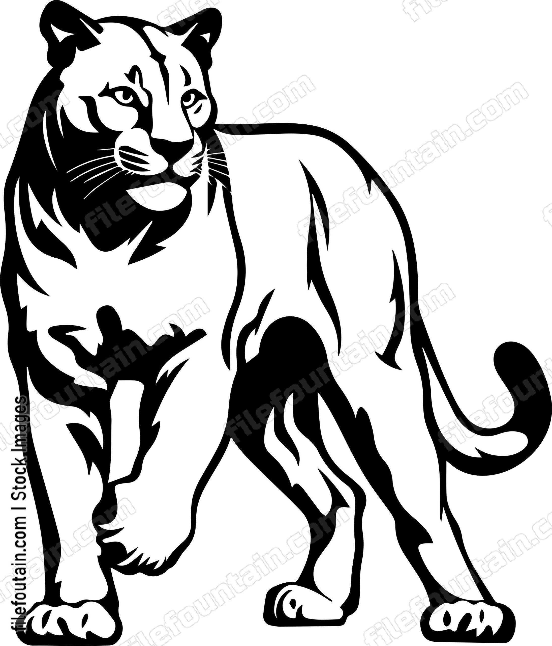Mountain Lion