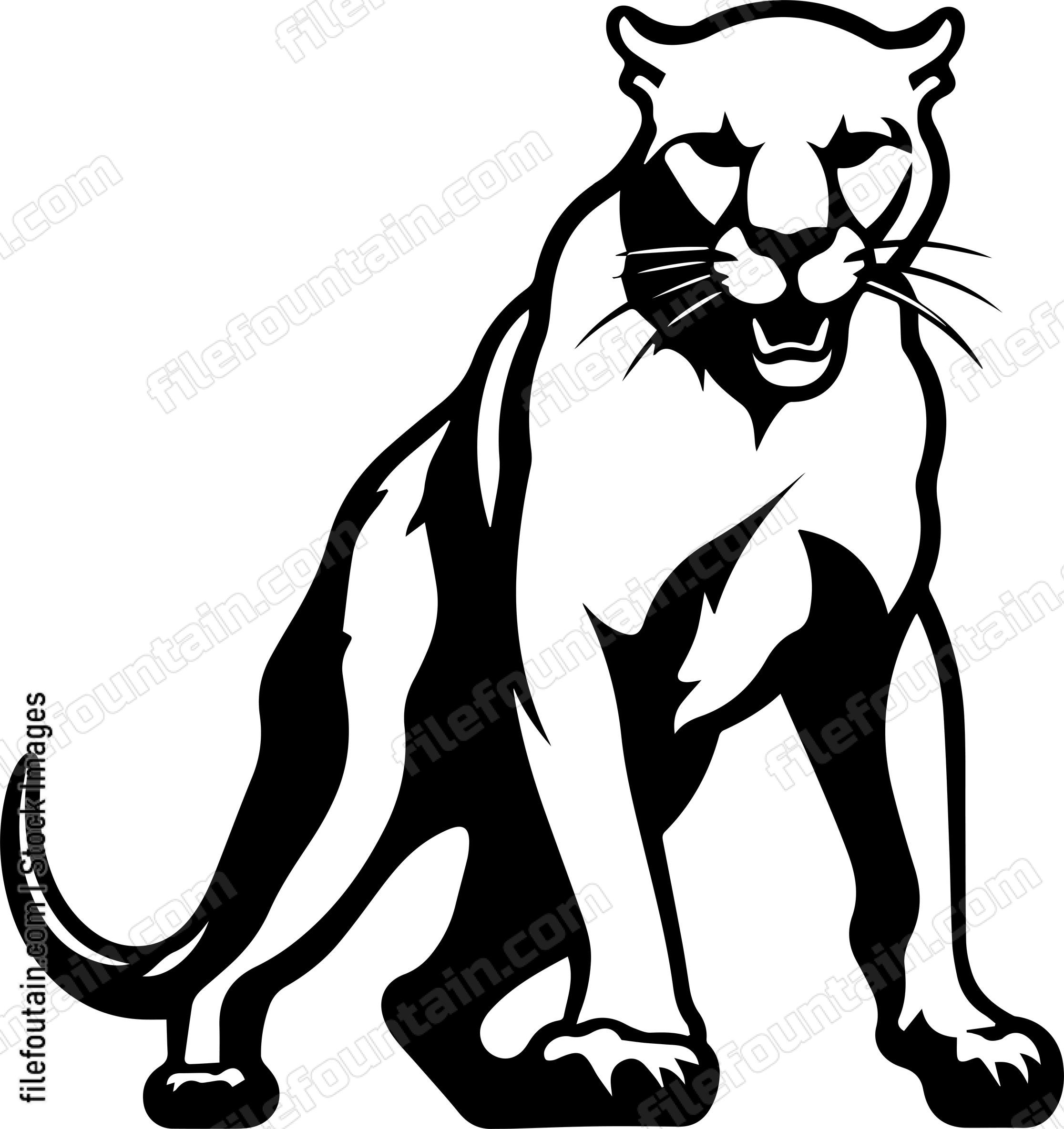 Mountain Lion