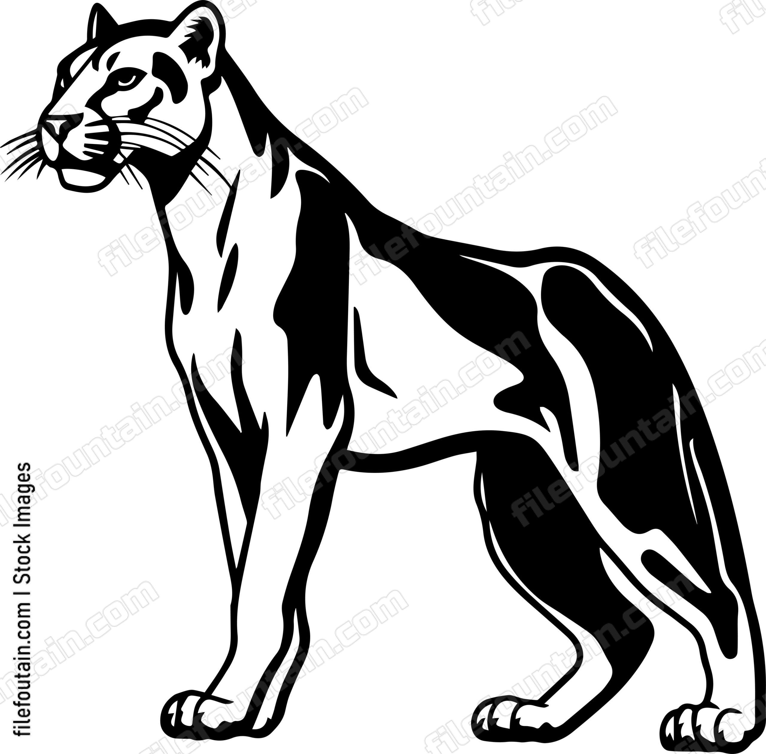 Mountain Lion