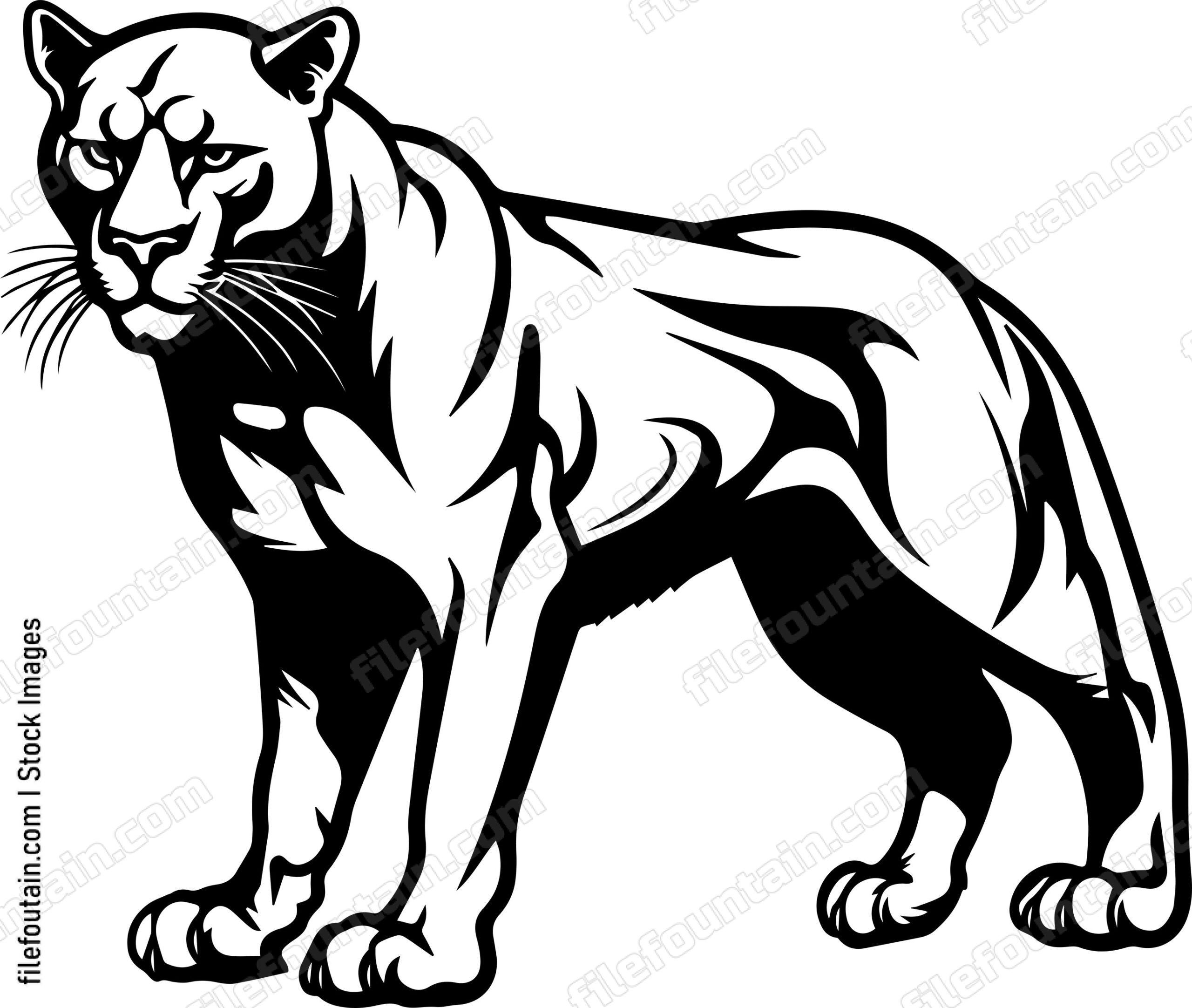 Mountain Lion