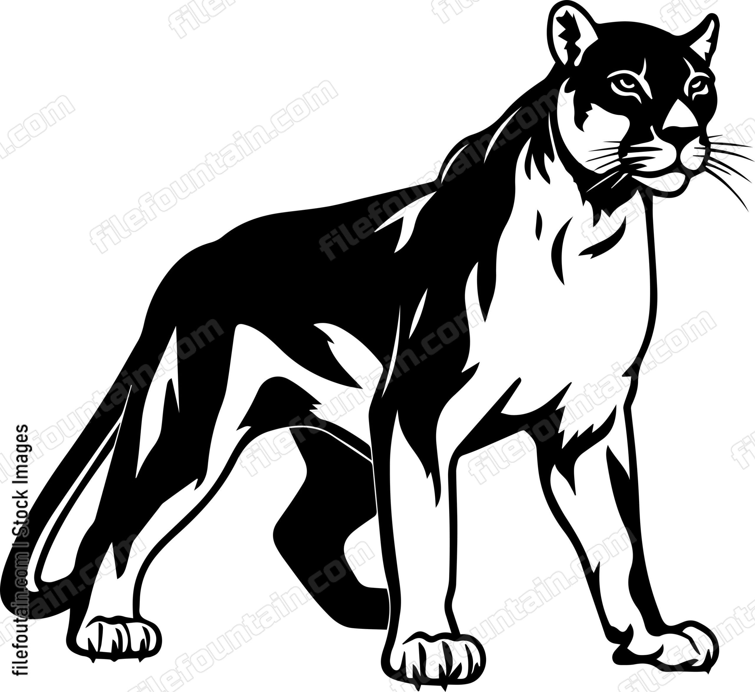 Mountain Lion