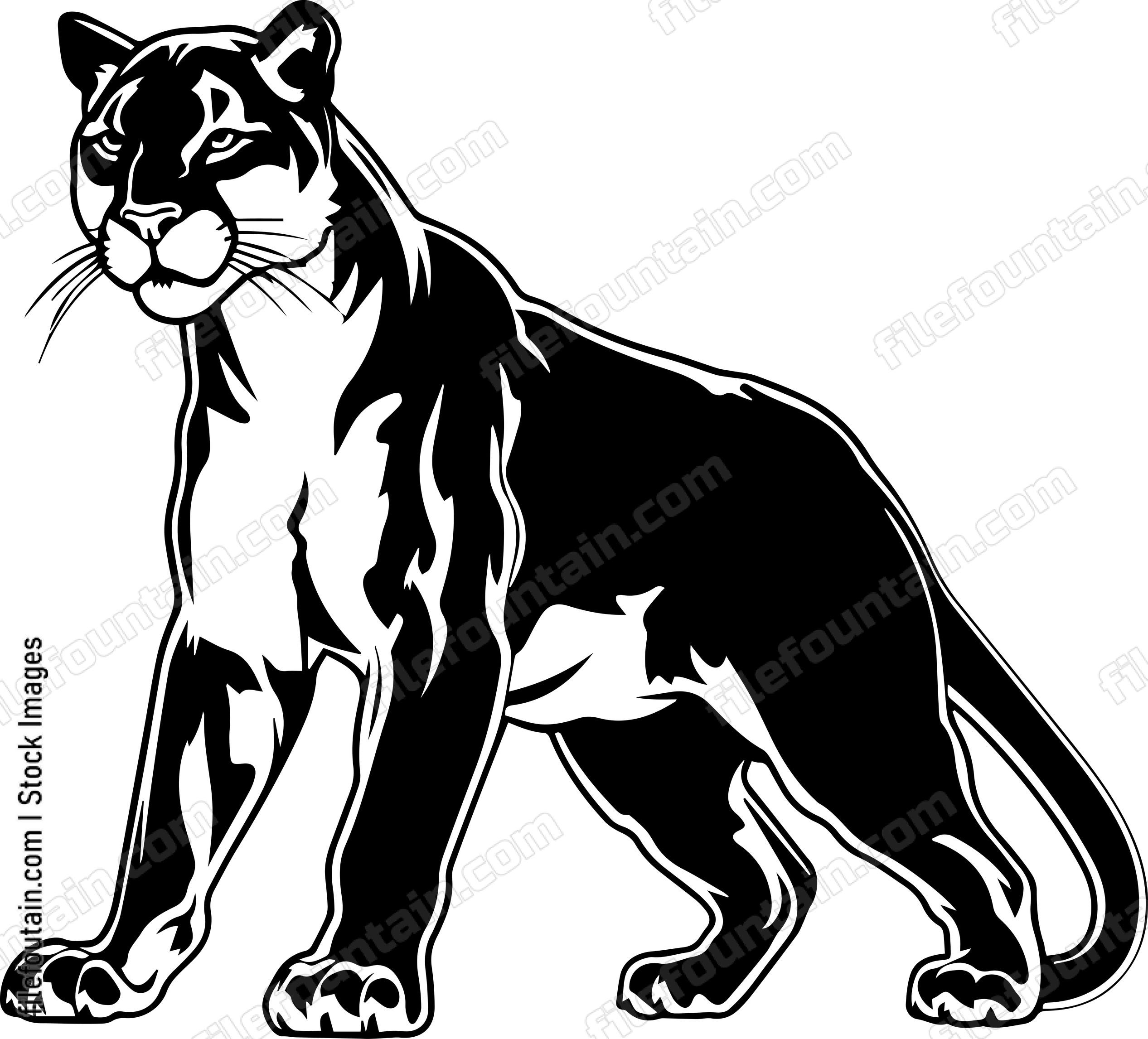 Mountain Lion