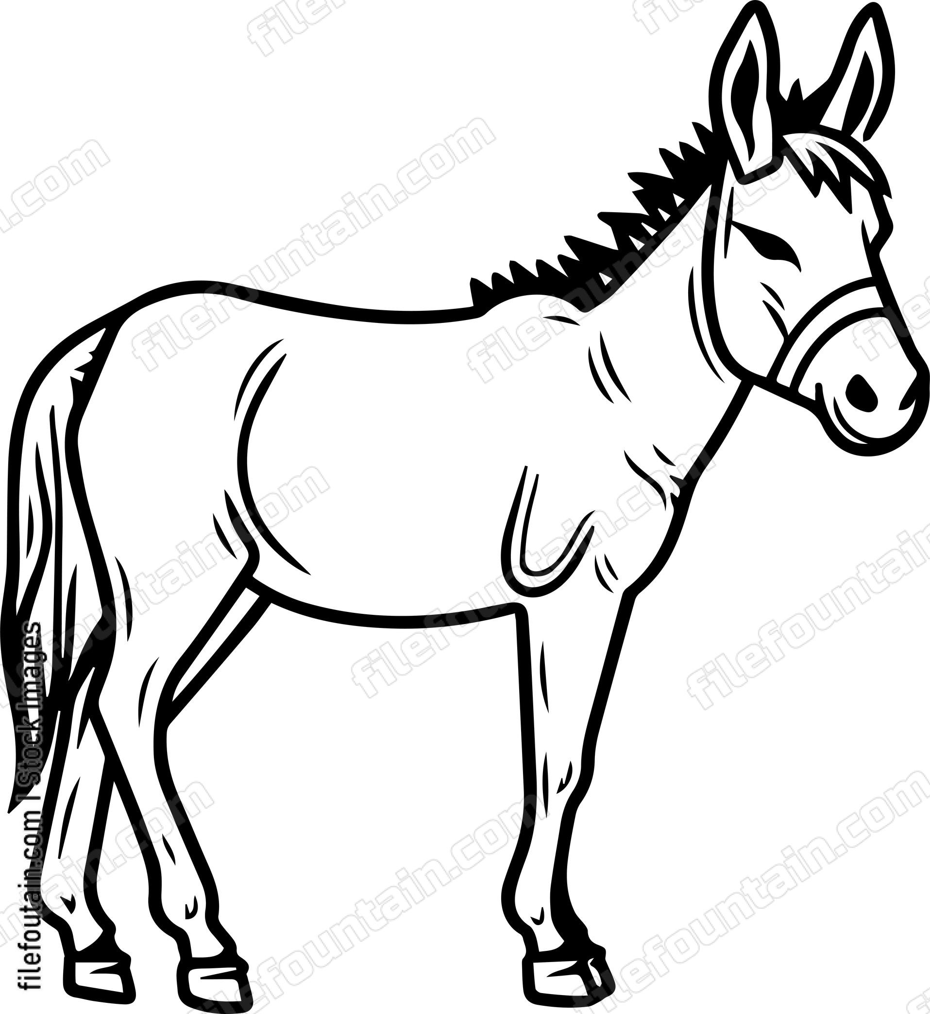 Mule