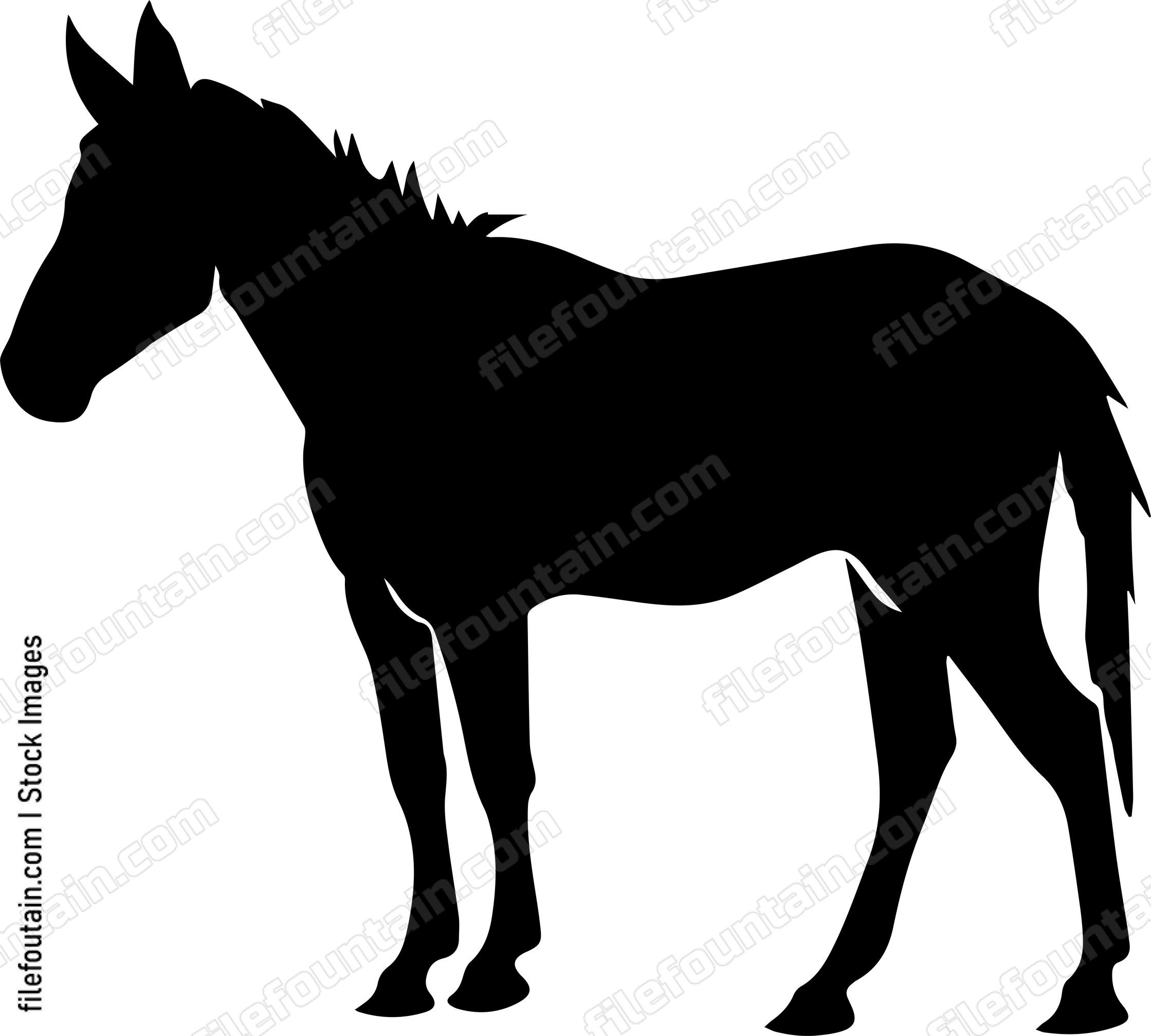 Mule
