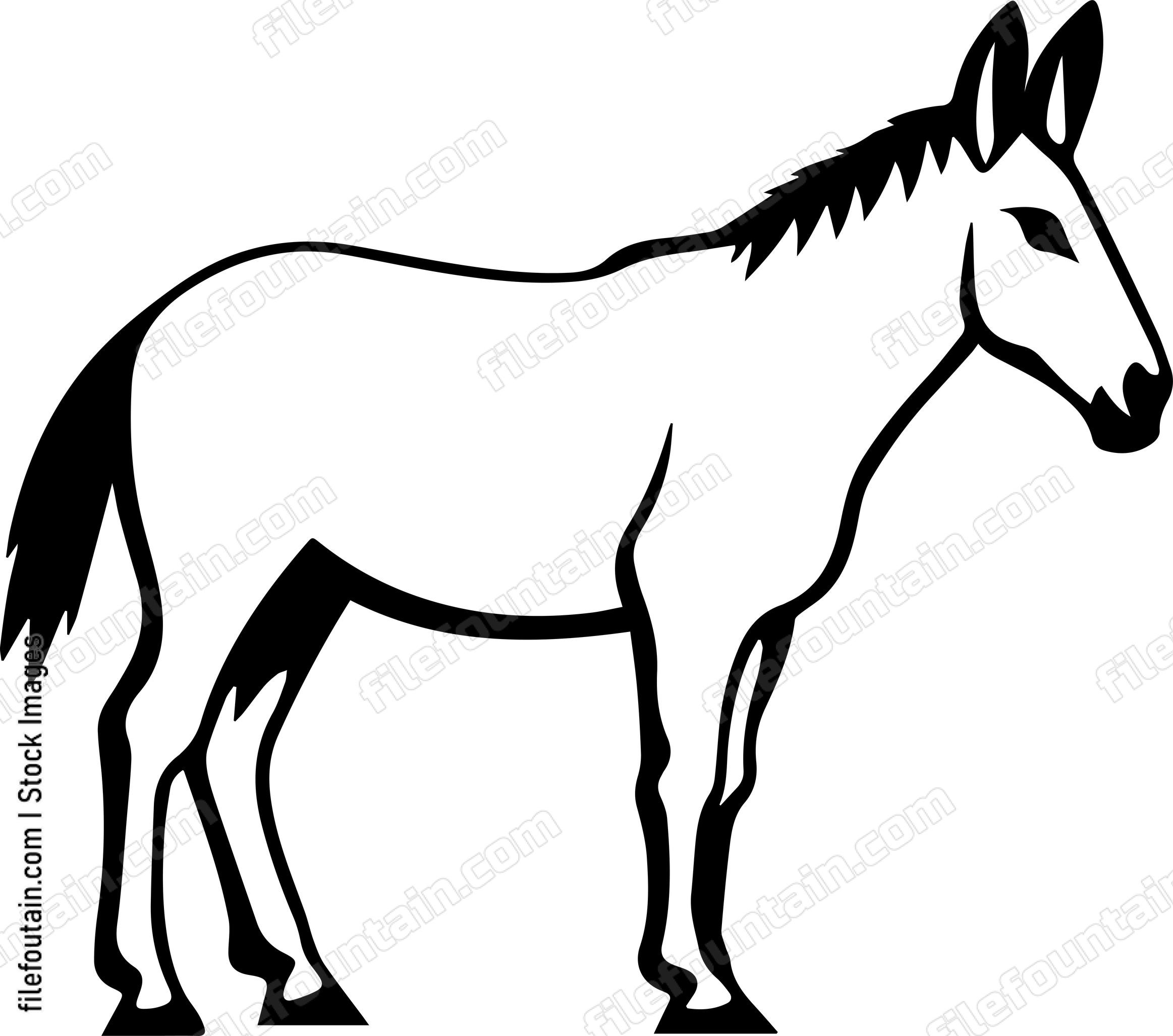 Mule