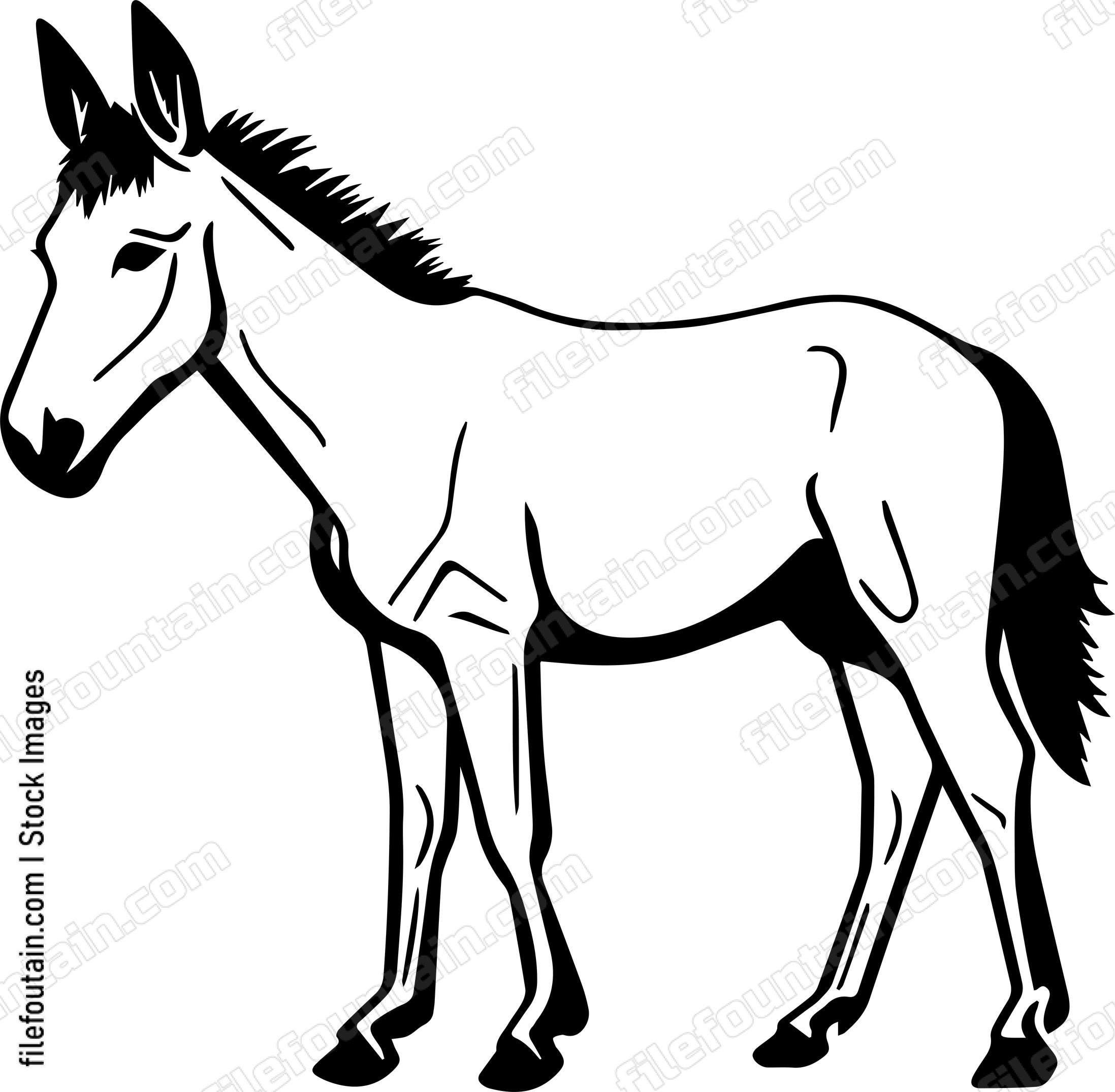 Mule