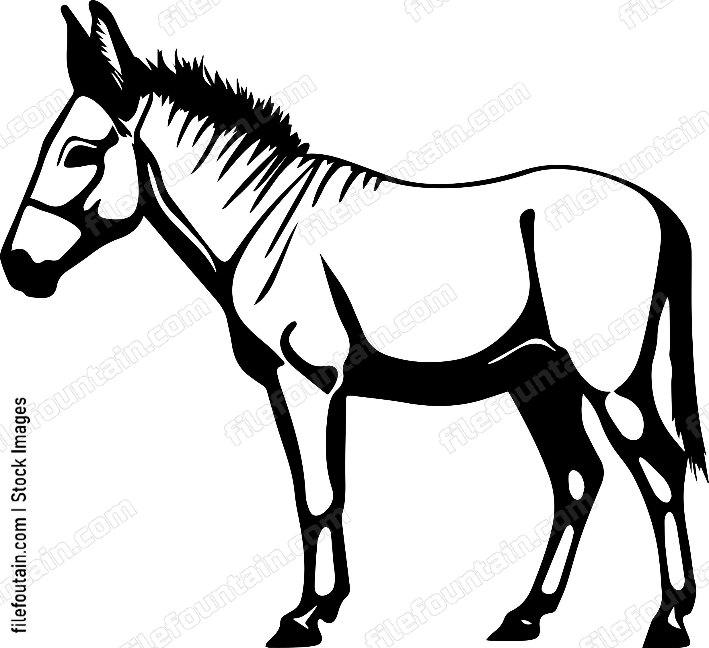 Mule