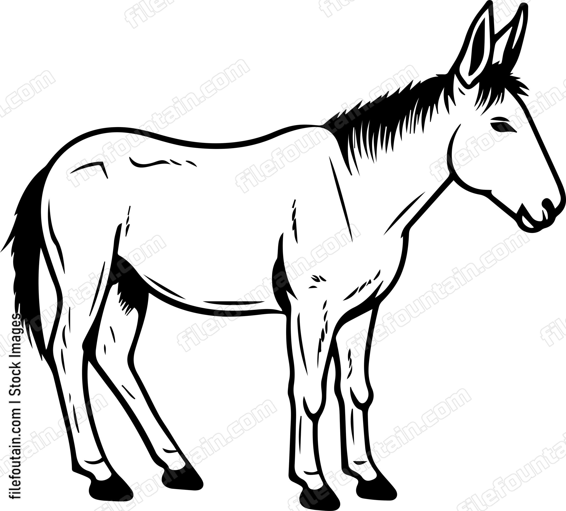 Mule