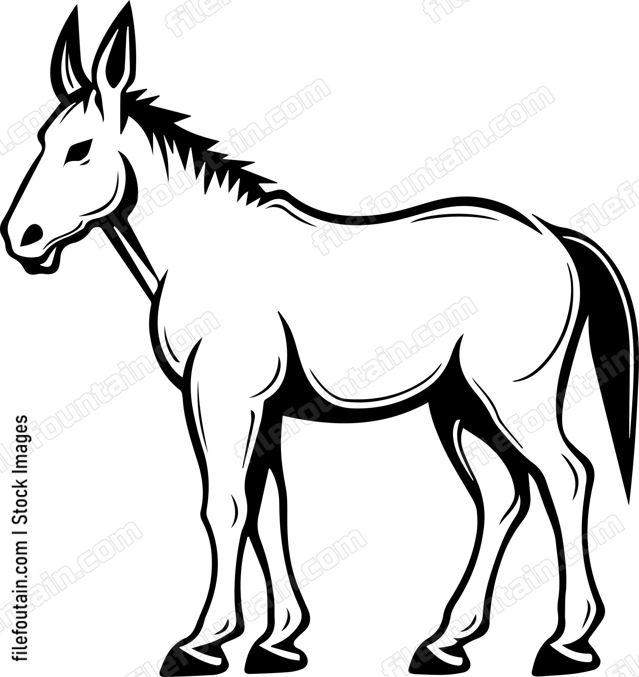 Mule