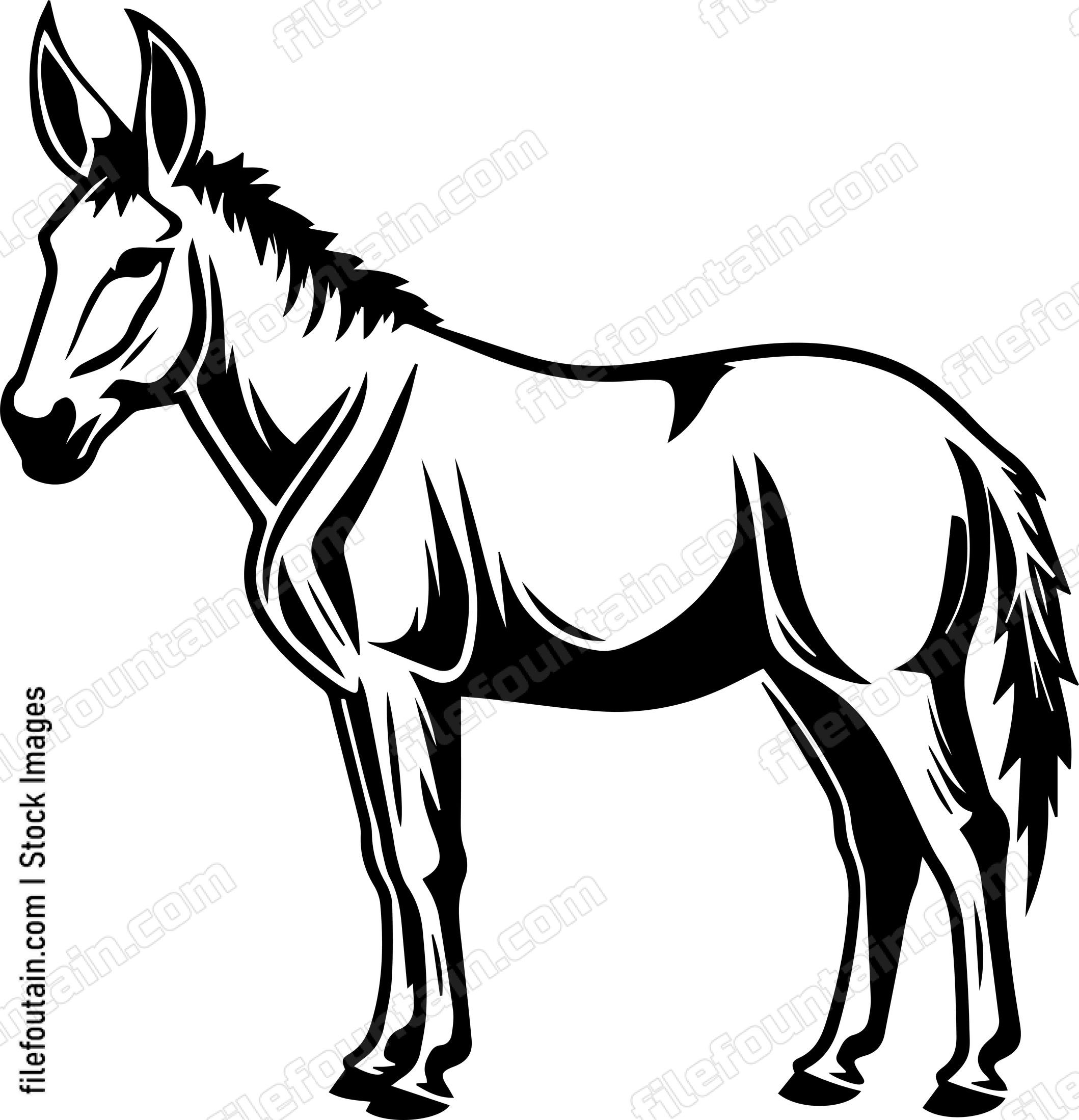 Mule