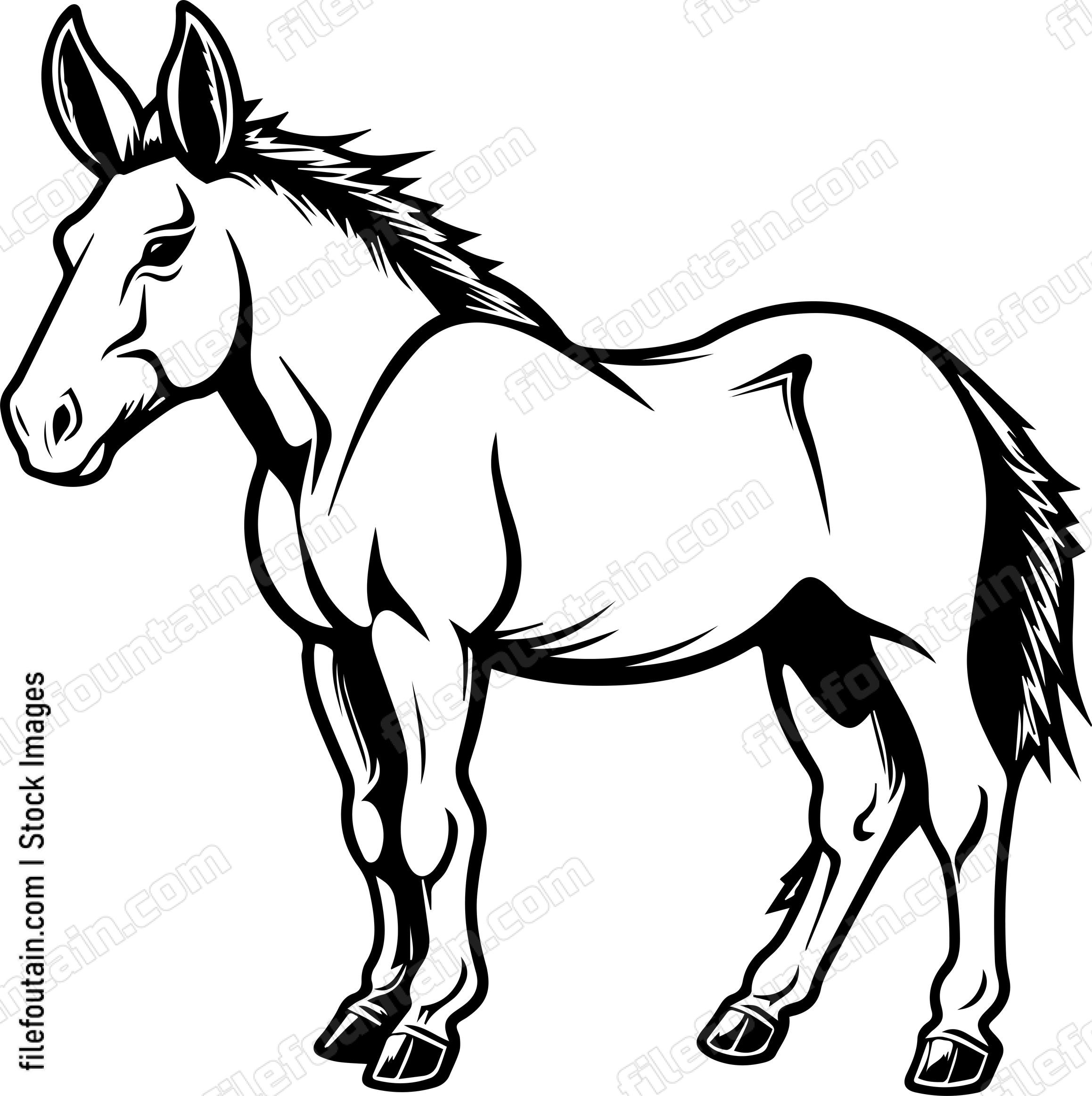 Mule