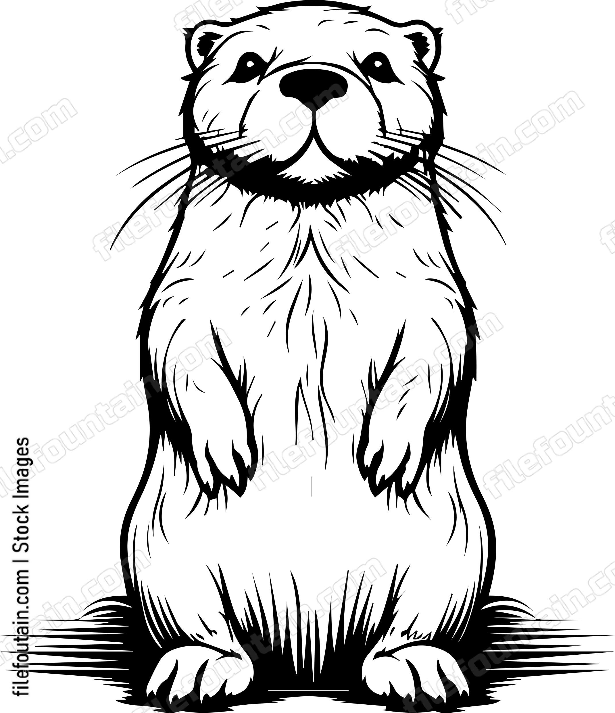 Otter