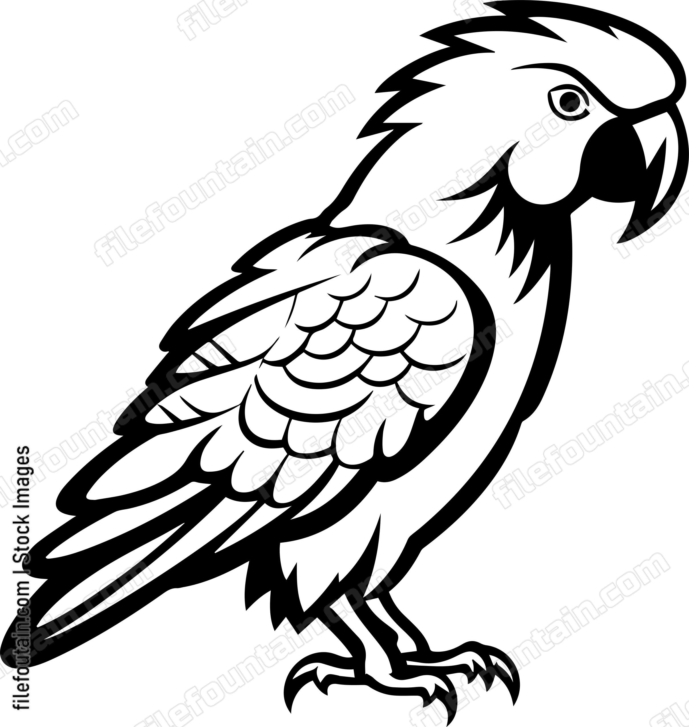 Parrot