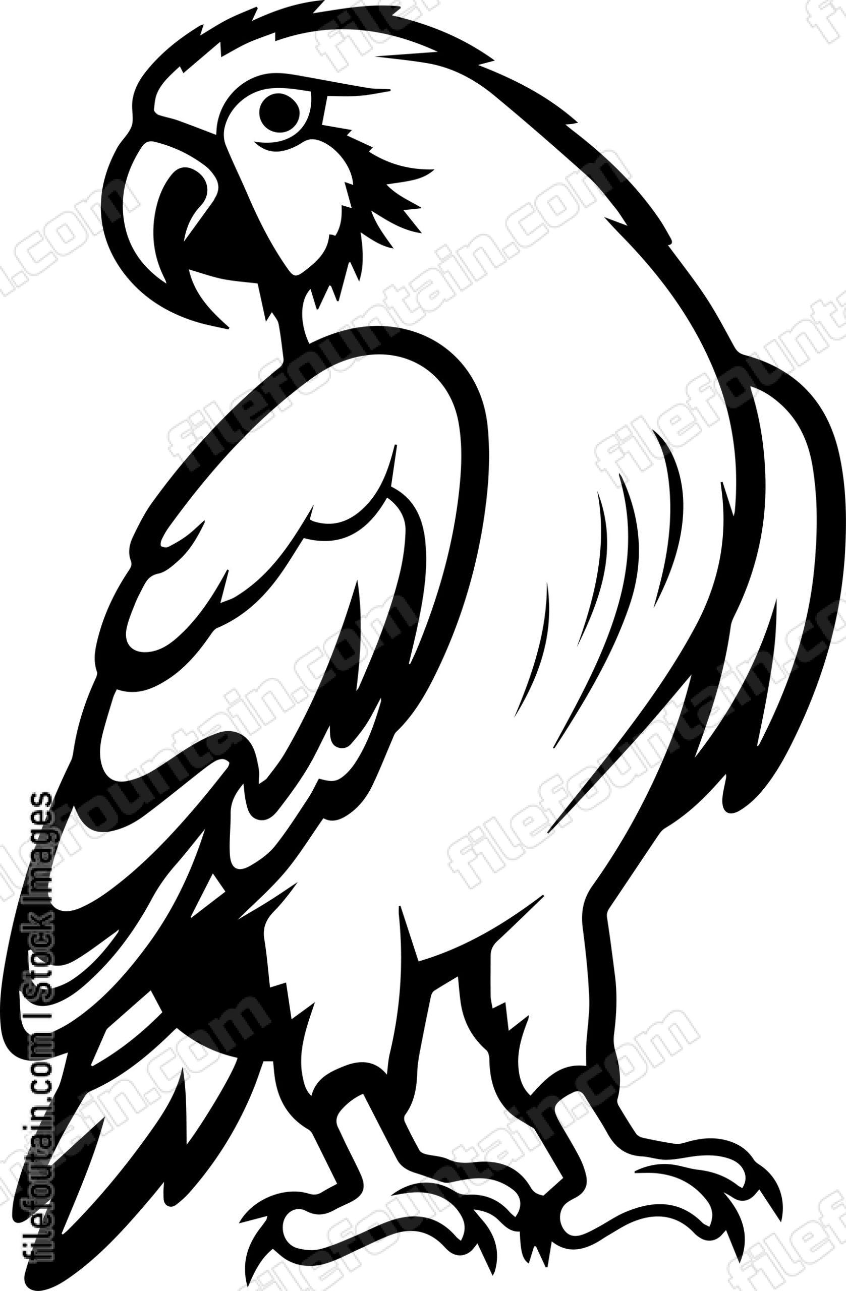 Parrot