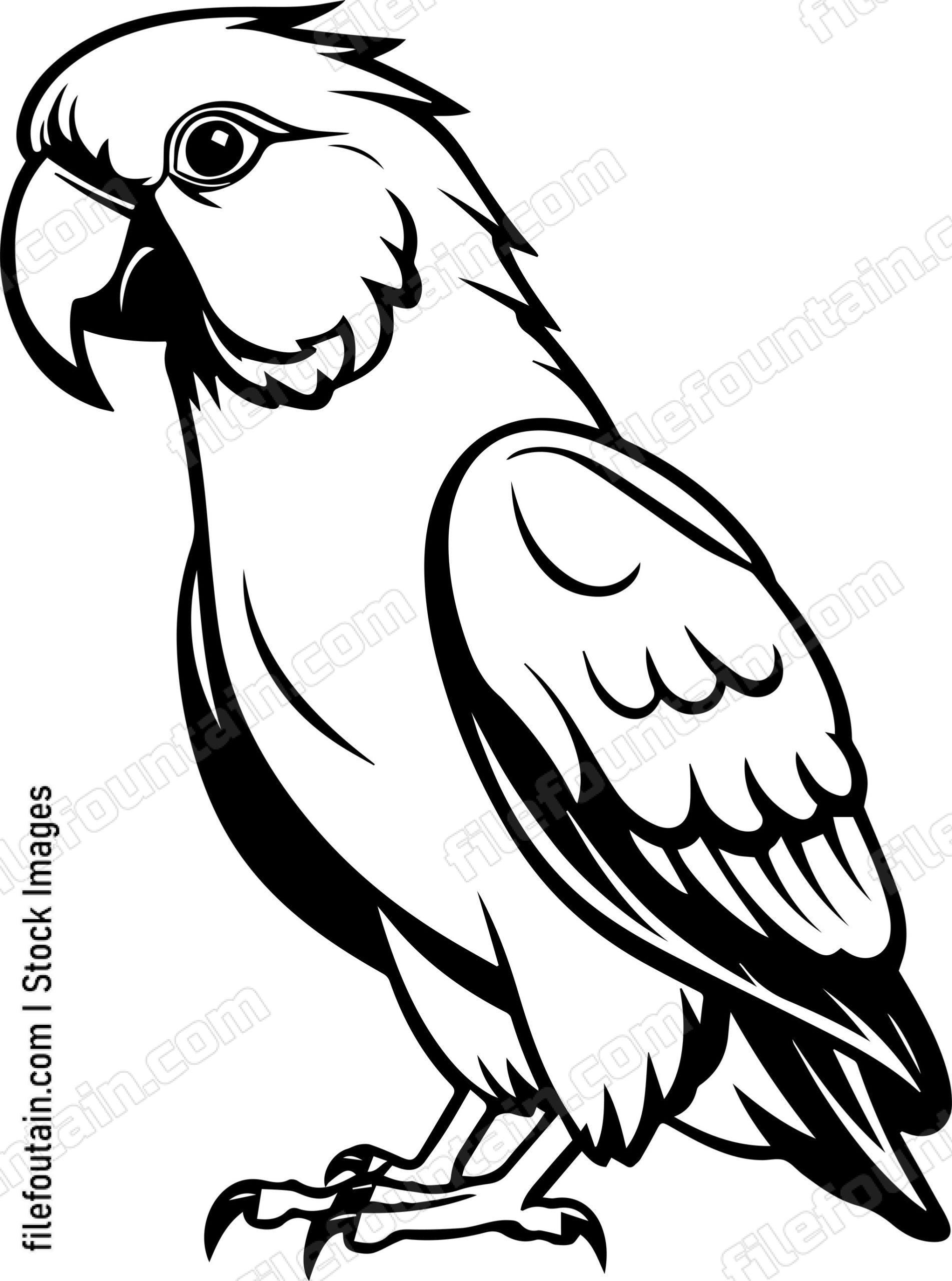 Parrot