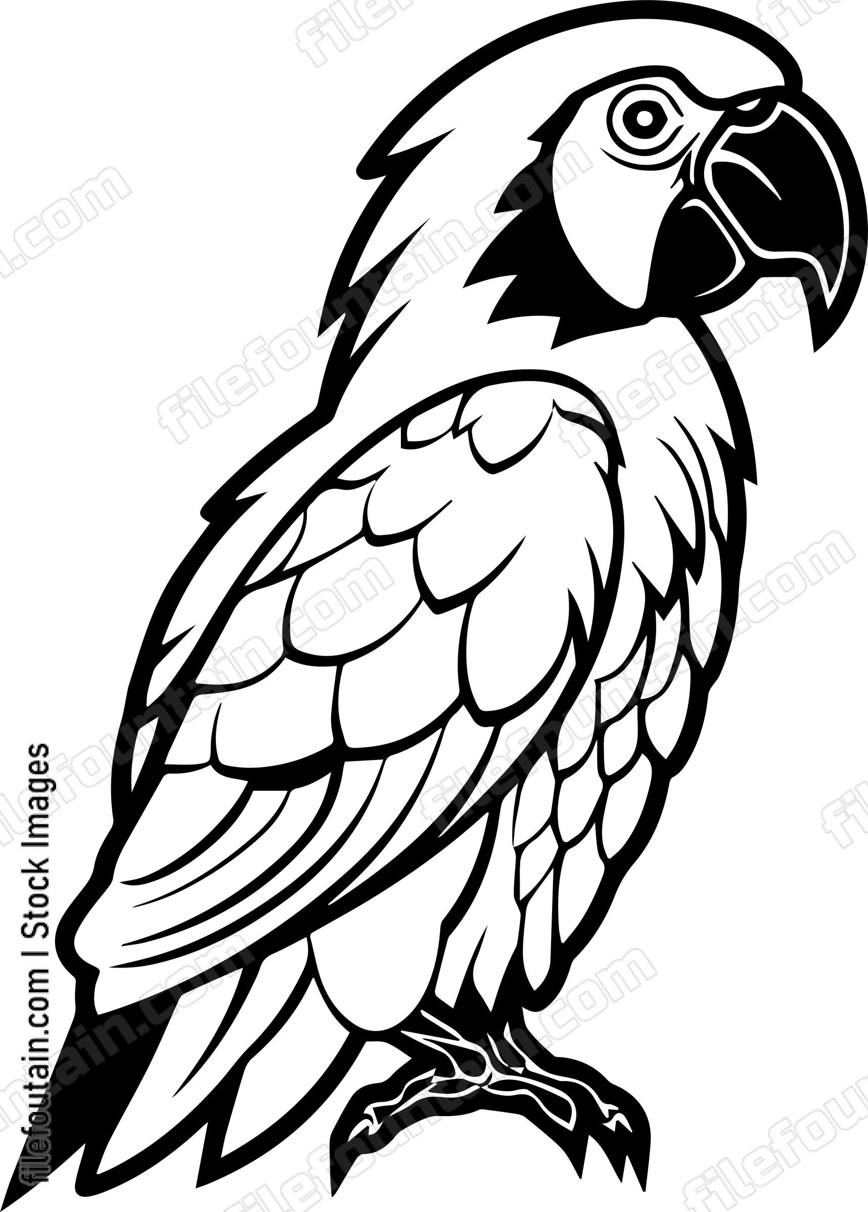 Parrot