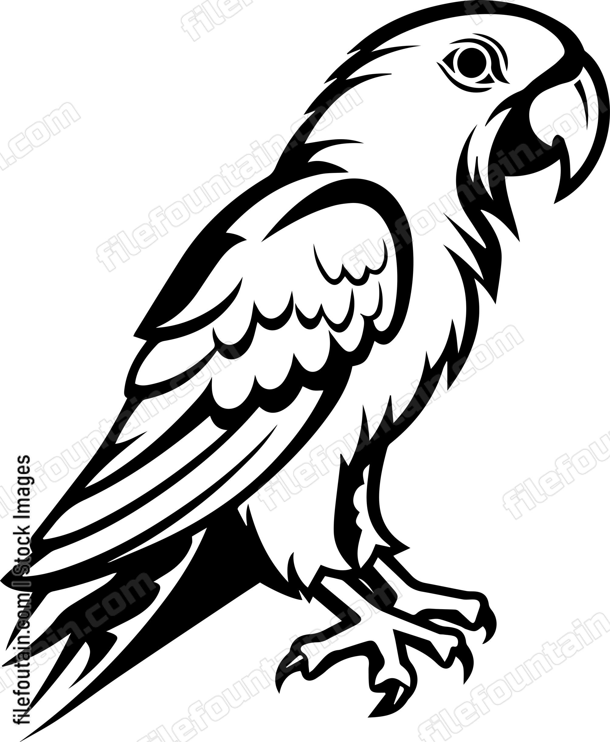 Parrot