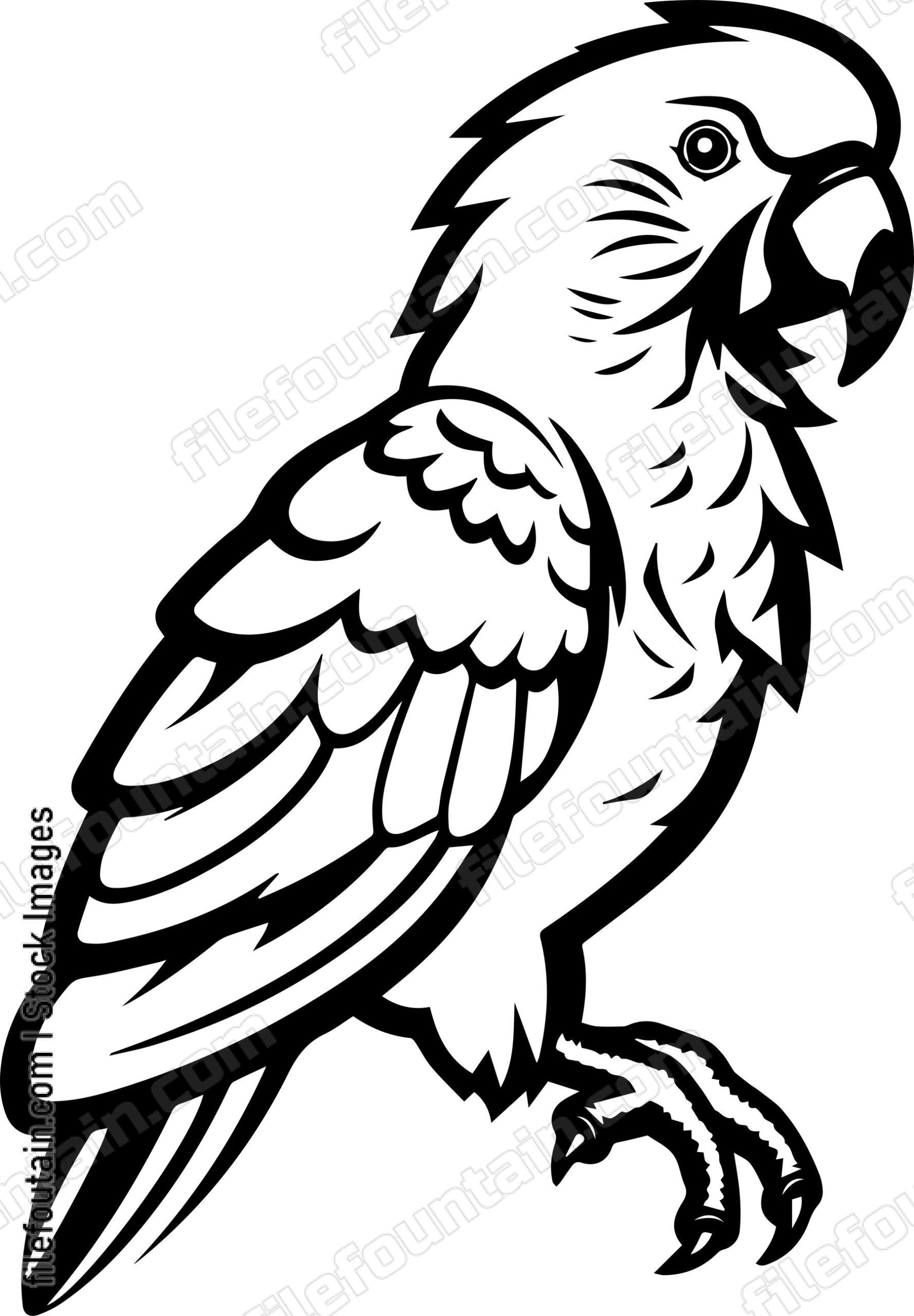 Parrot