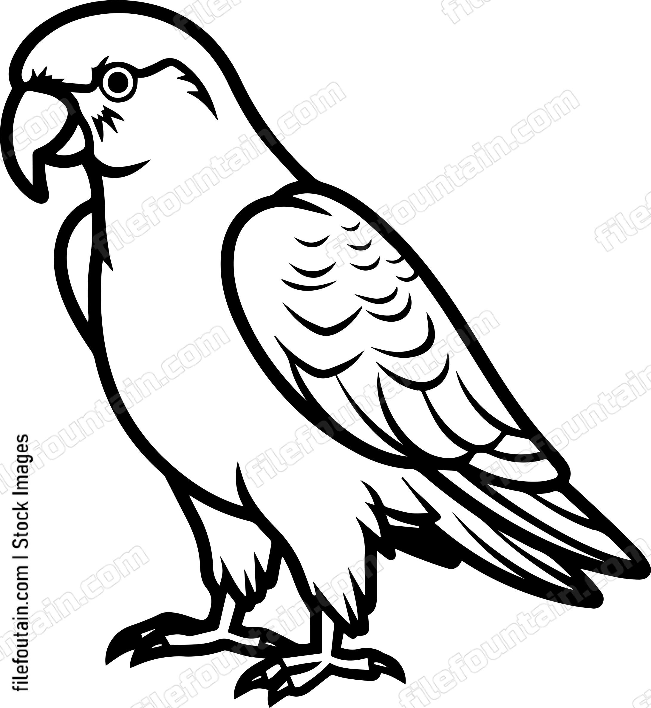 Parrot