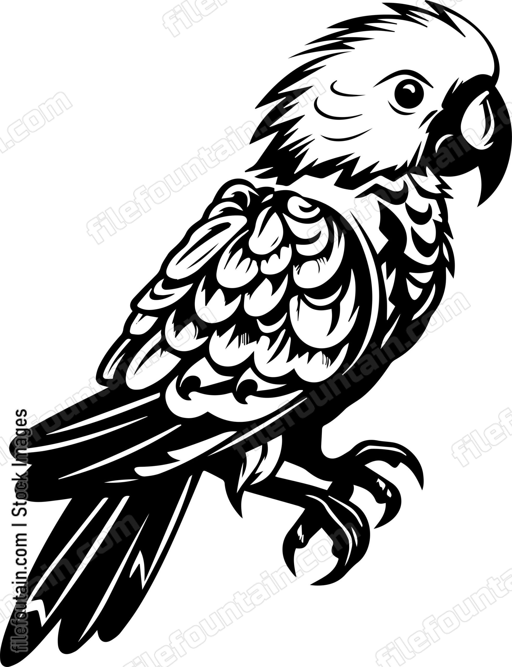 Parrot