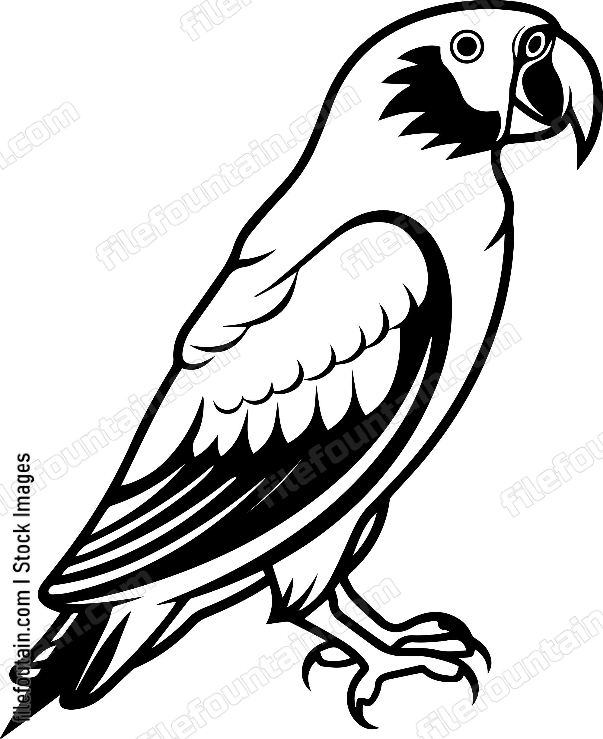 Parrot