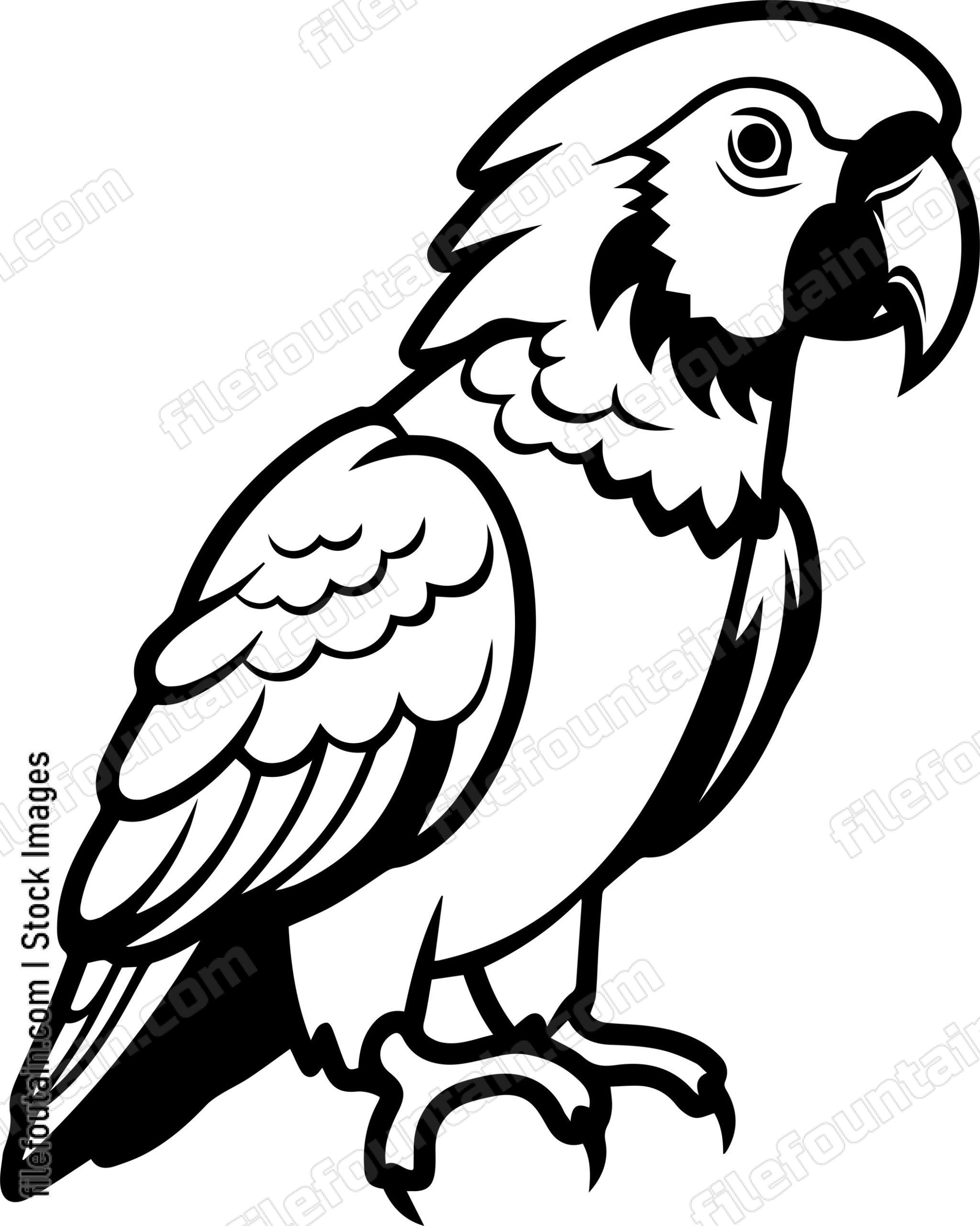 Parrot