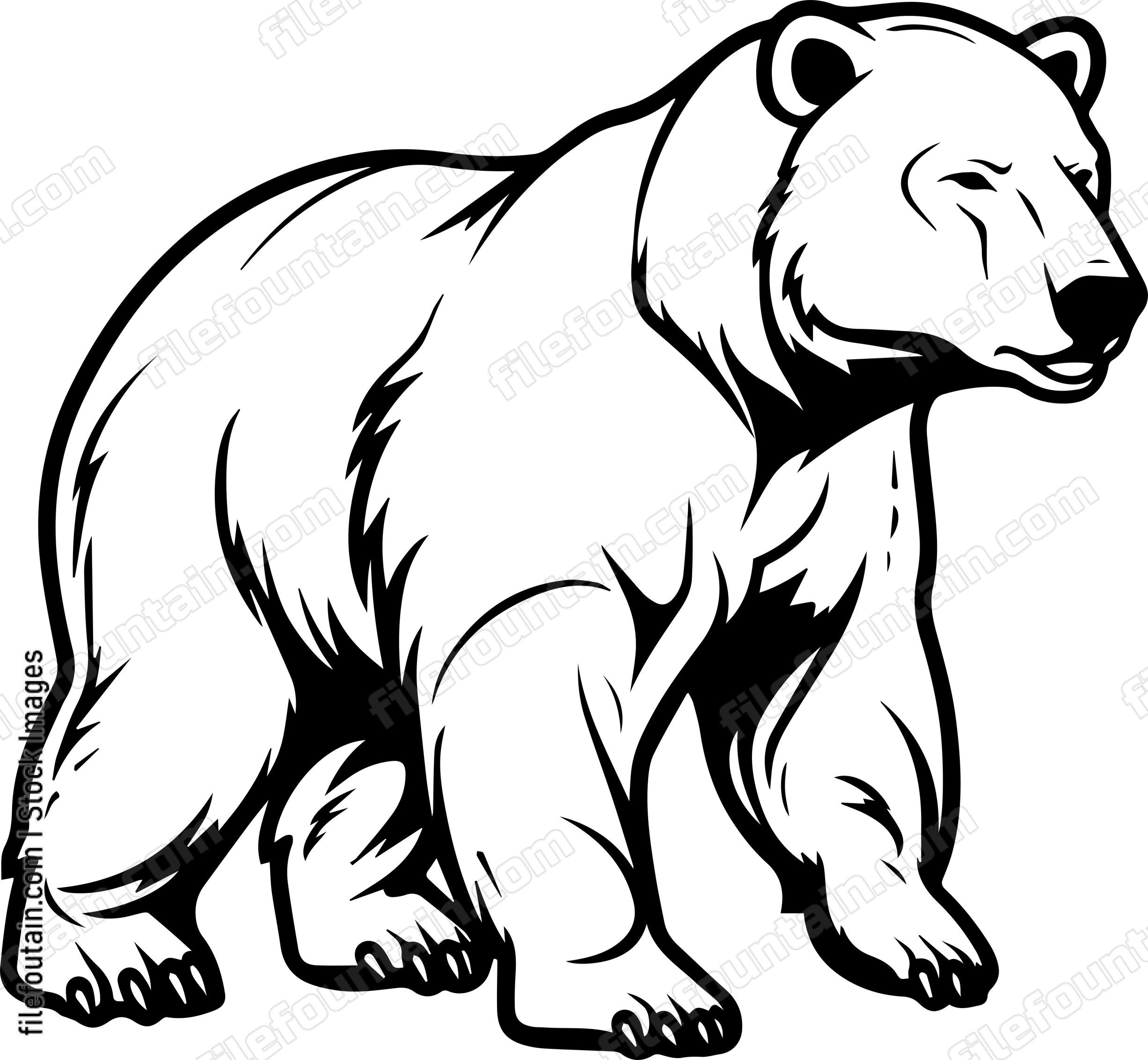 Polar Bear