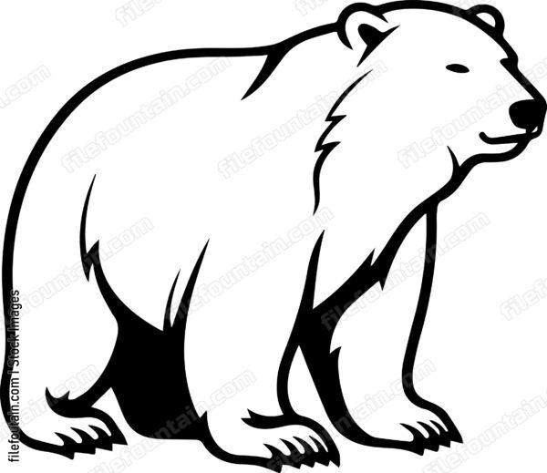 Polar Bear