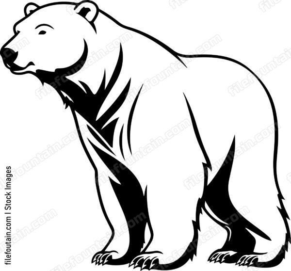 Polar Bear