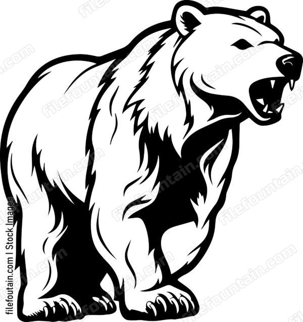 Polar Bear