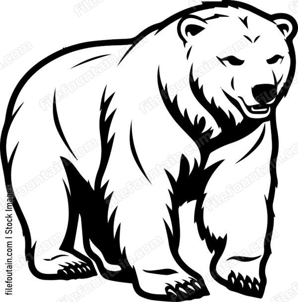 Polar Bear