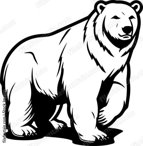 Polar Bear