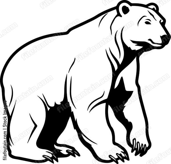 Polar Bear