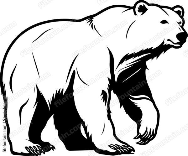 Polar Bear