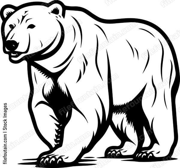 Polar Bear