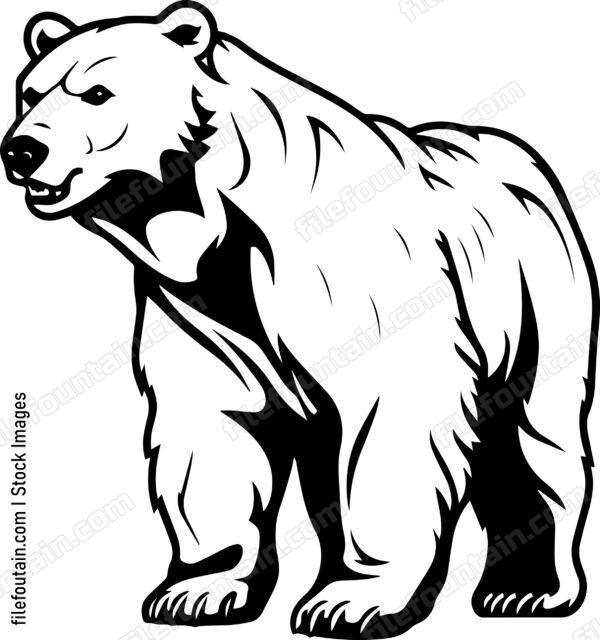 Polar Bear