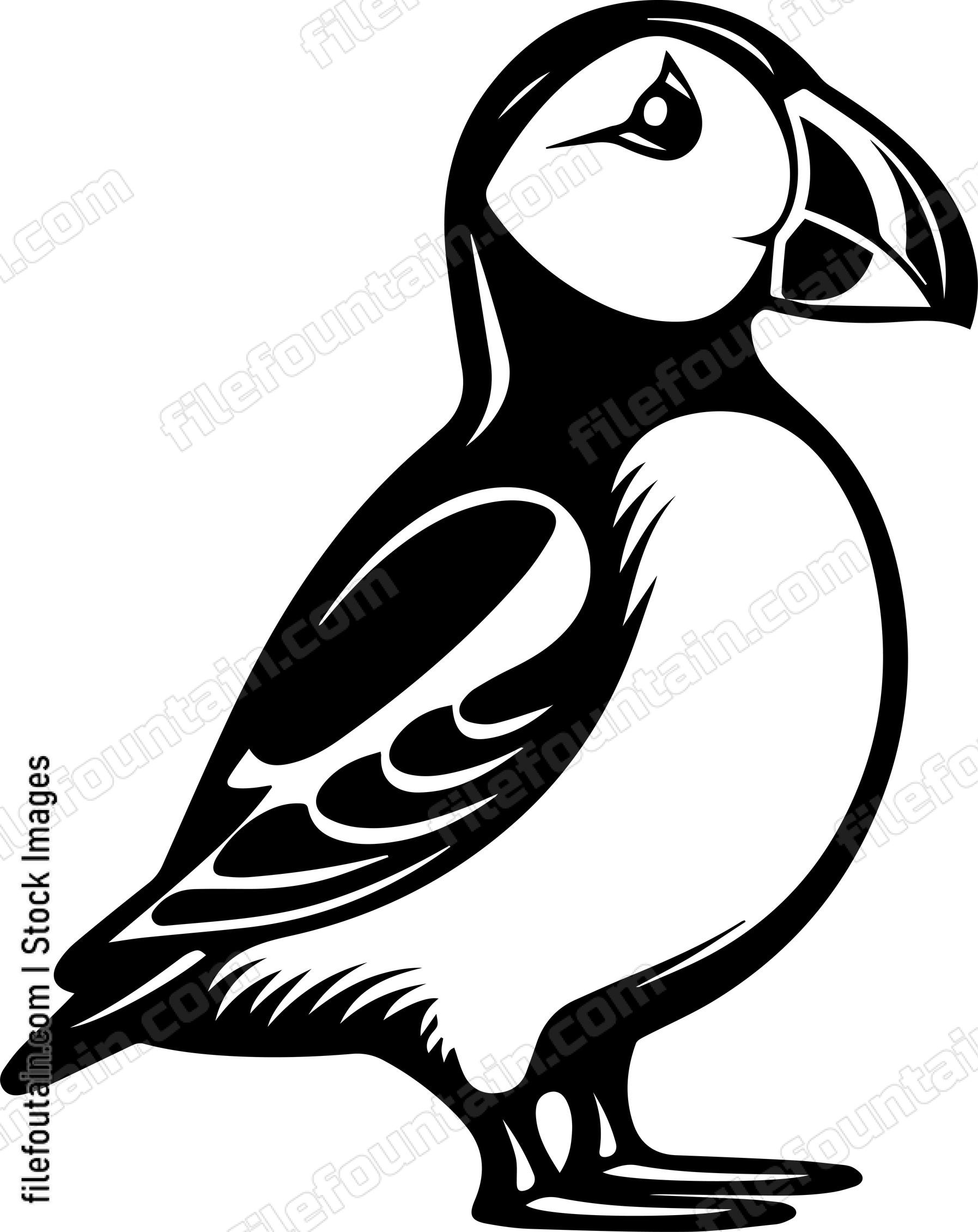 Puffin