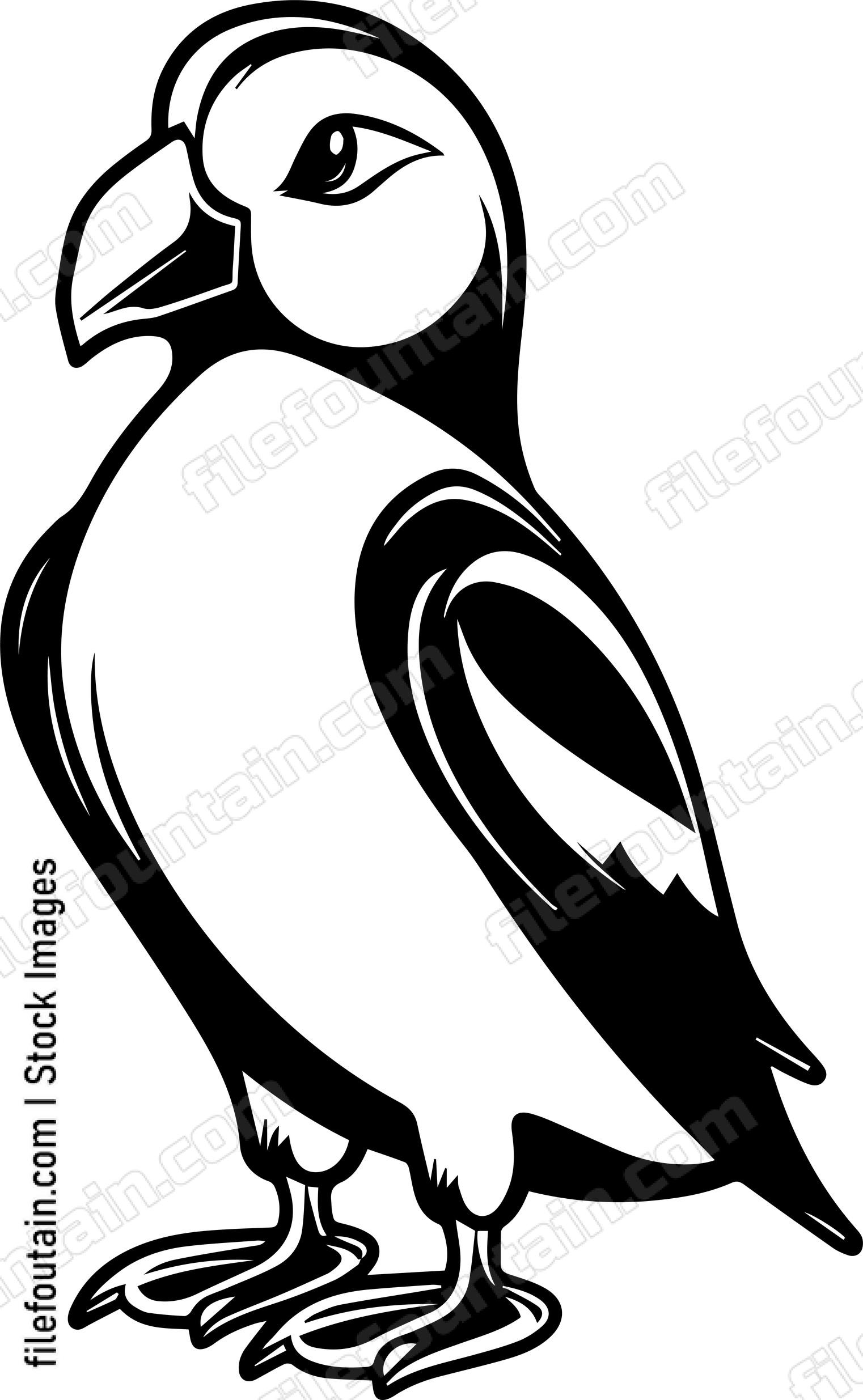 Puffin